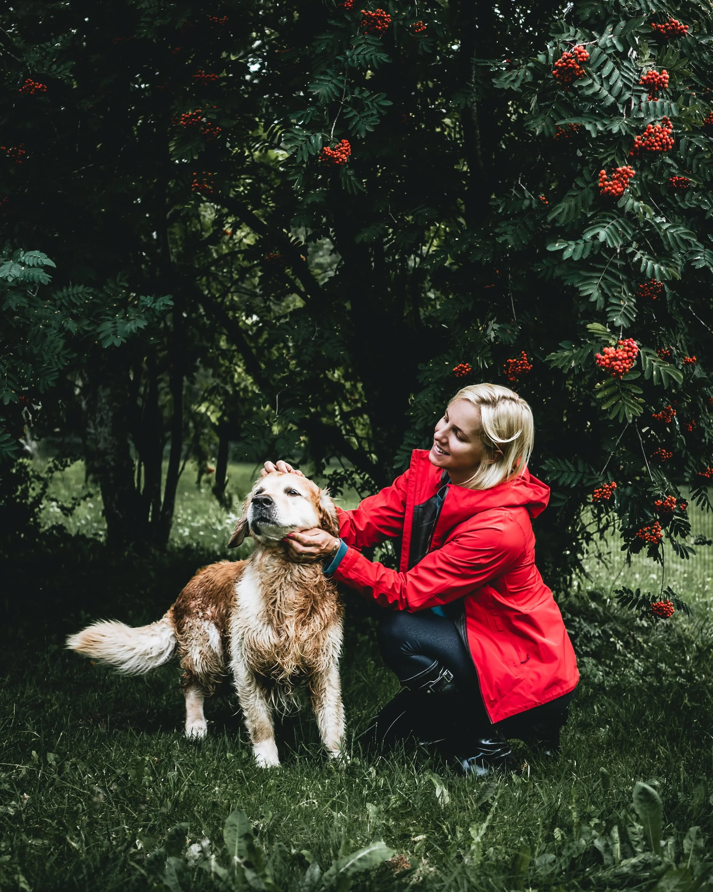 Naine punases ja kuldne retriiver pihlakapuu all