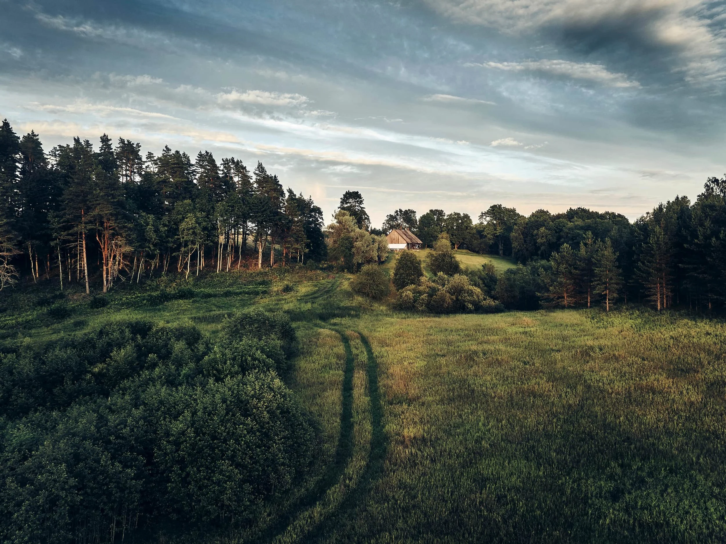 Vaade vanale talumajale kuldses õhtuvalguses hilissuvel üle põllu ja metsade