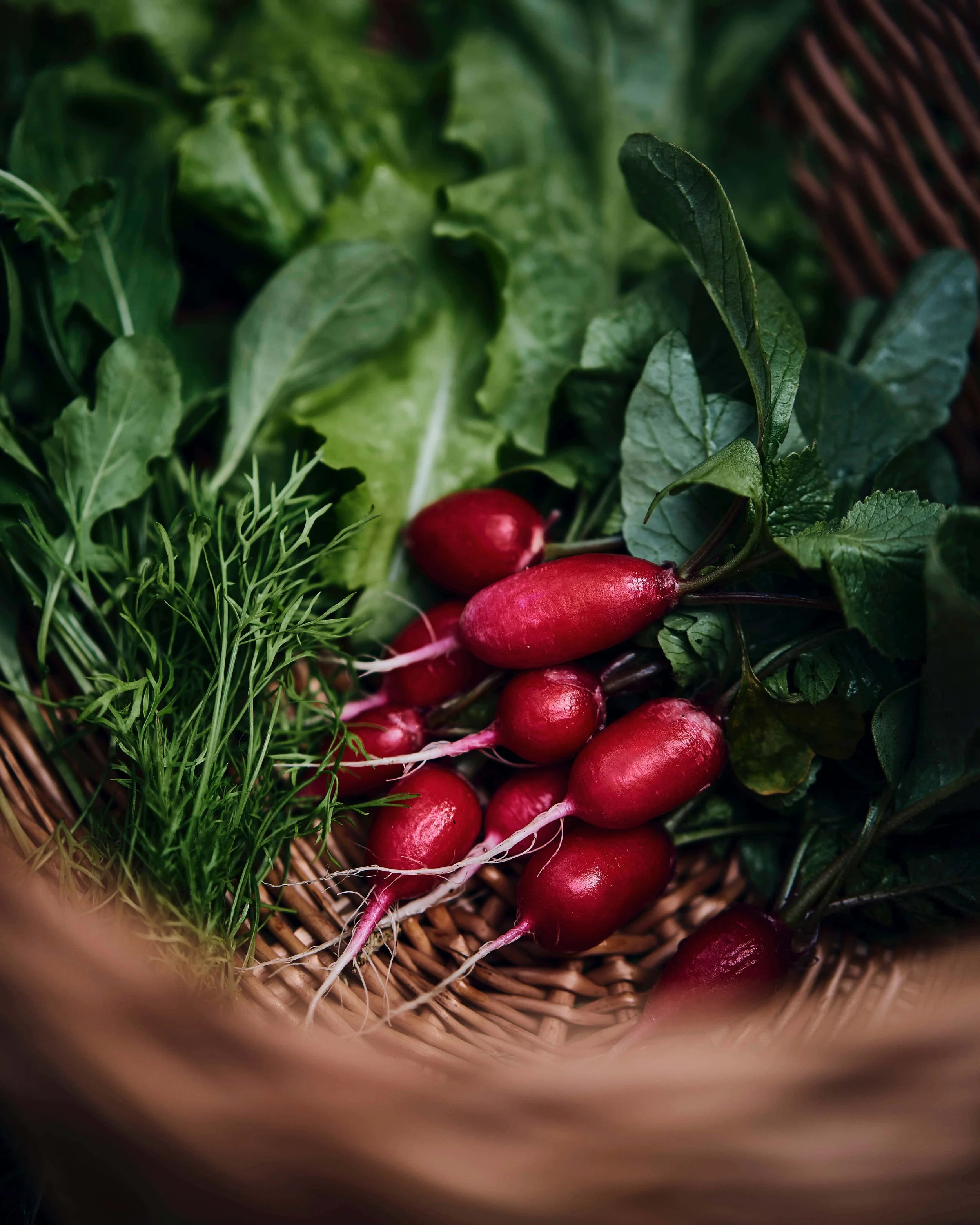 Korv punaste rediste, tilli ja rukolaga