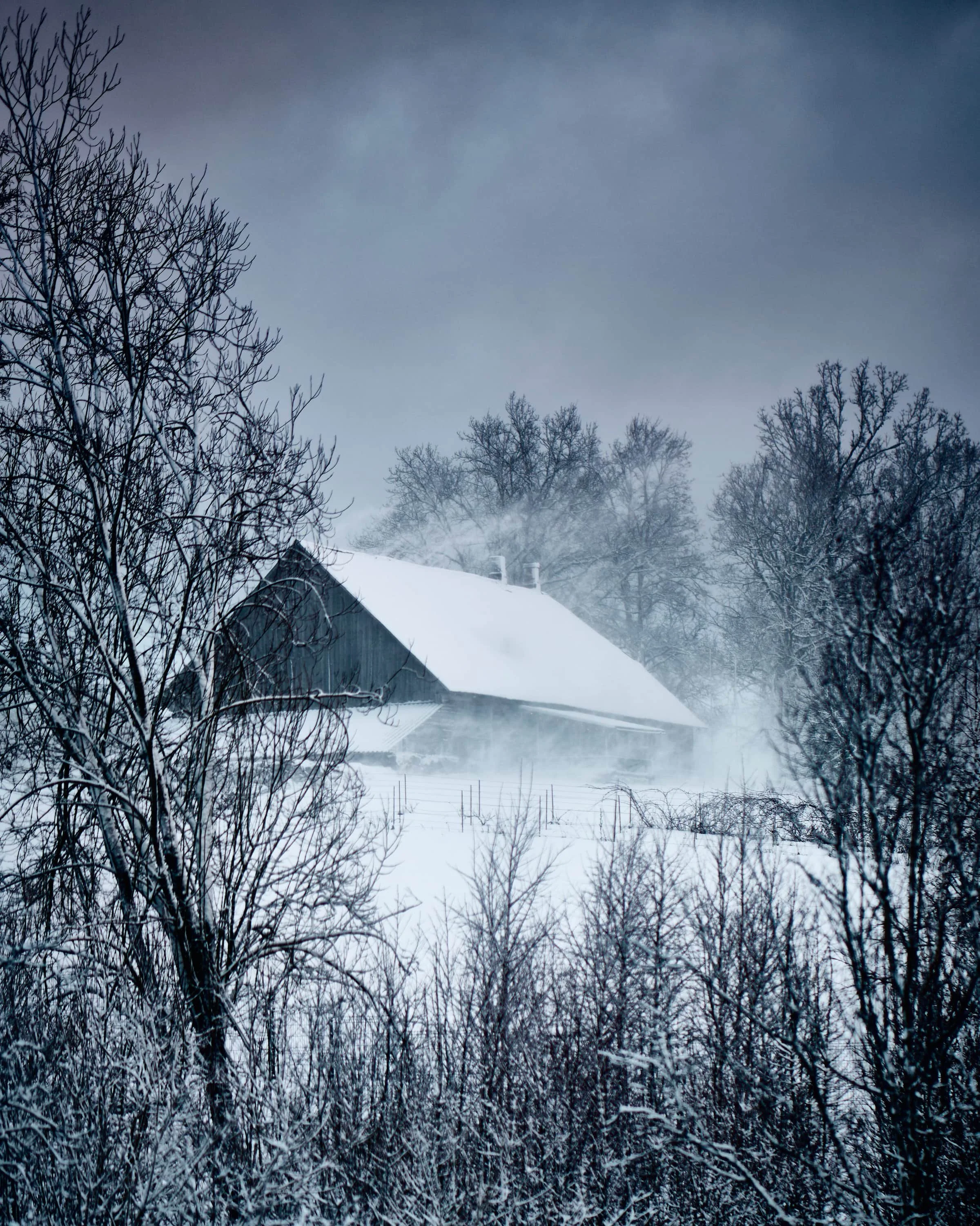 Talumaja tuisus ja ümbritsetud raagus puudest