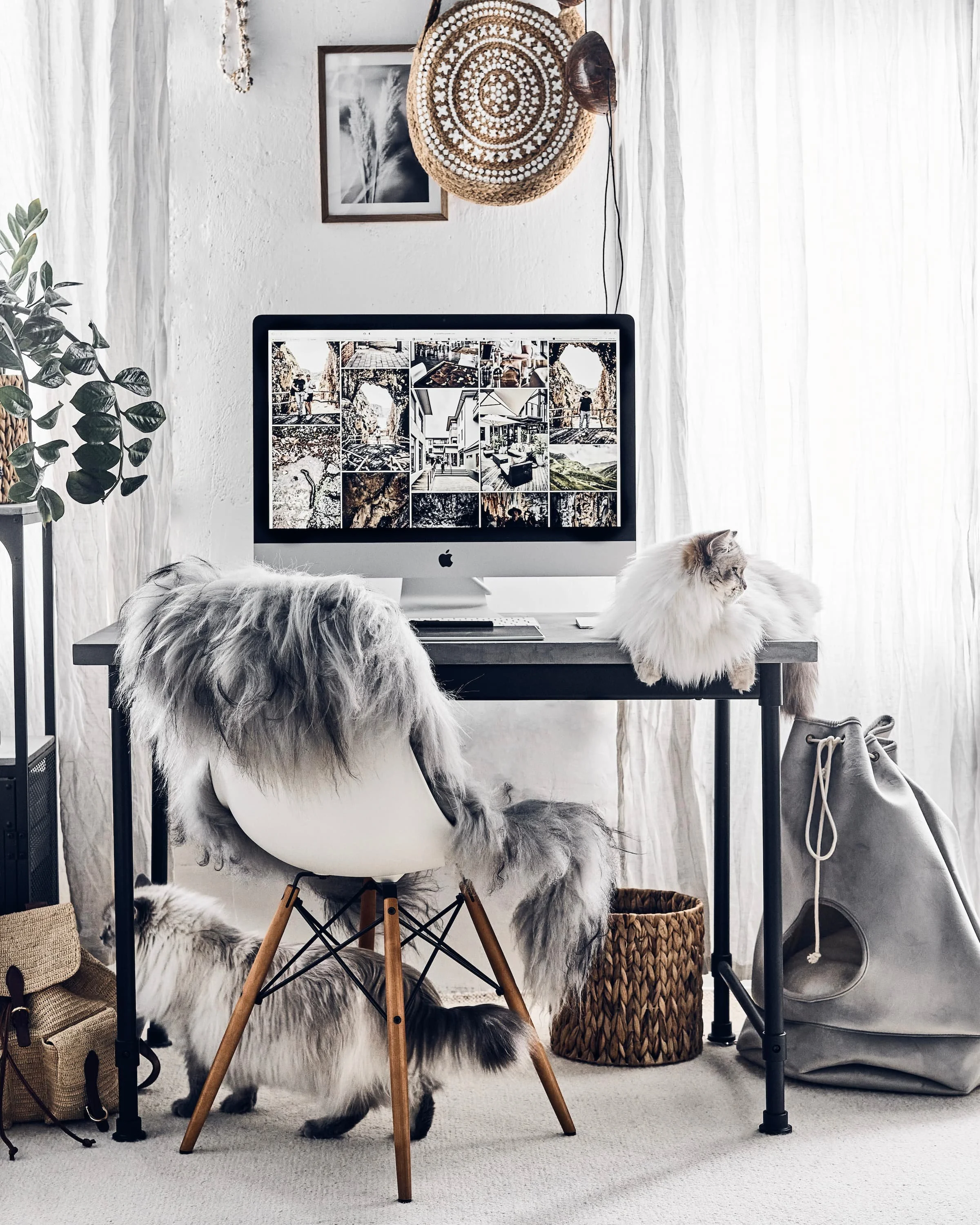 Kontorinurk iMaci, lambanahaga kaetud tooliga ning kahe kassiga