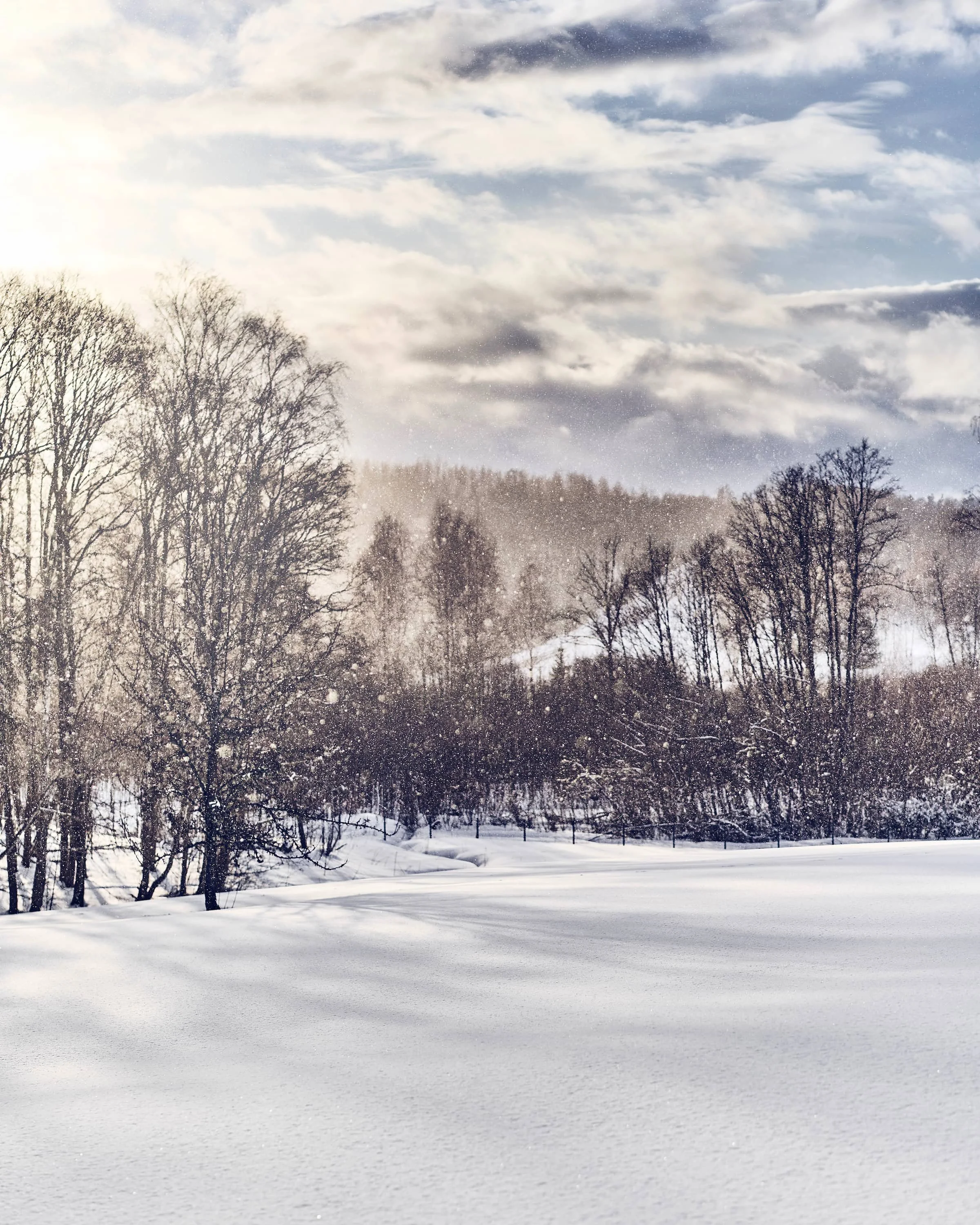Vaade üle lumise välja metsadele ja maanteele