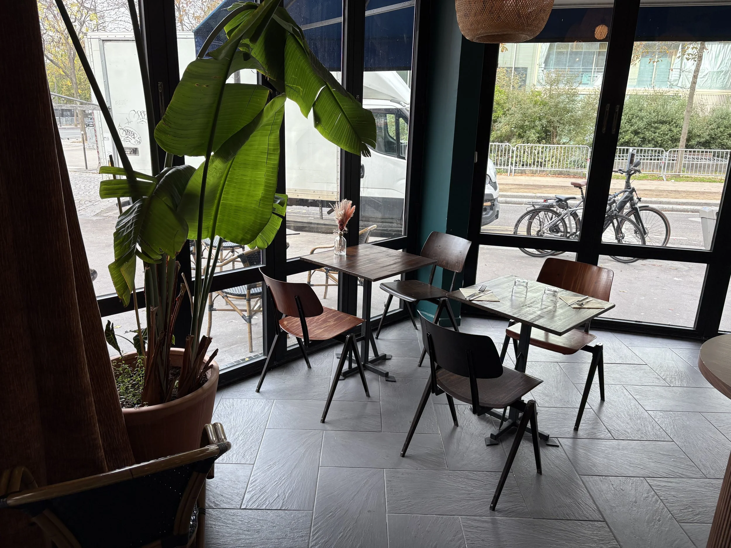 Intérieur d'un café avec plusieurs tables en bois, chaises, grande plante verte en pot, vitrines donnant sur la rue avec des vélos et des voitures, décoration naturelle.