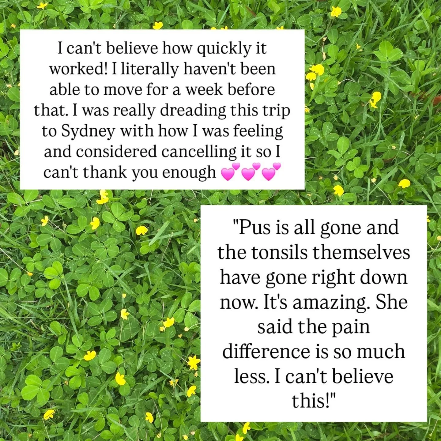A few acutes have come through my door this week.  I'm always so amazed at the results!  These messages are from one client with a mystery virus and another with  tonsilitis.

The ability of Homeopathy never ceases to amaze me!
