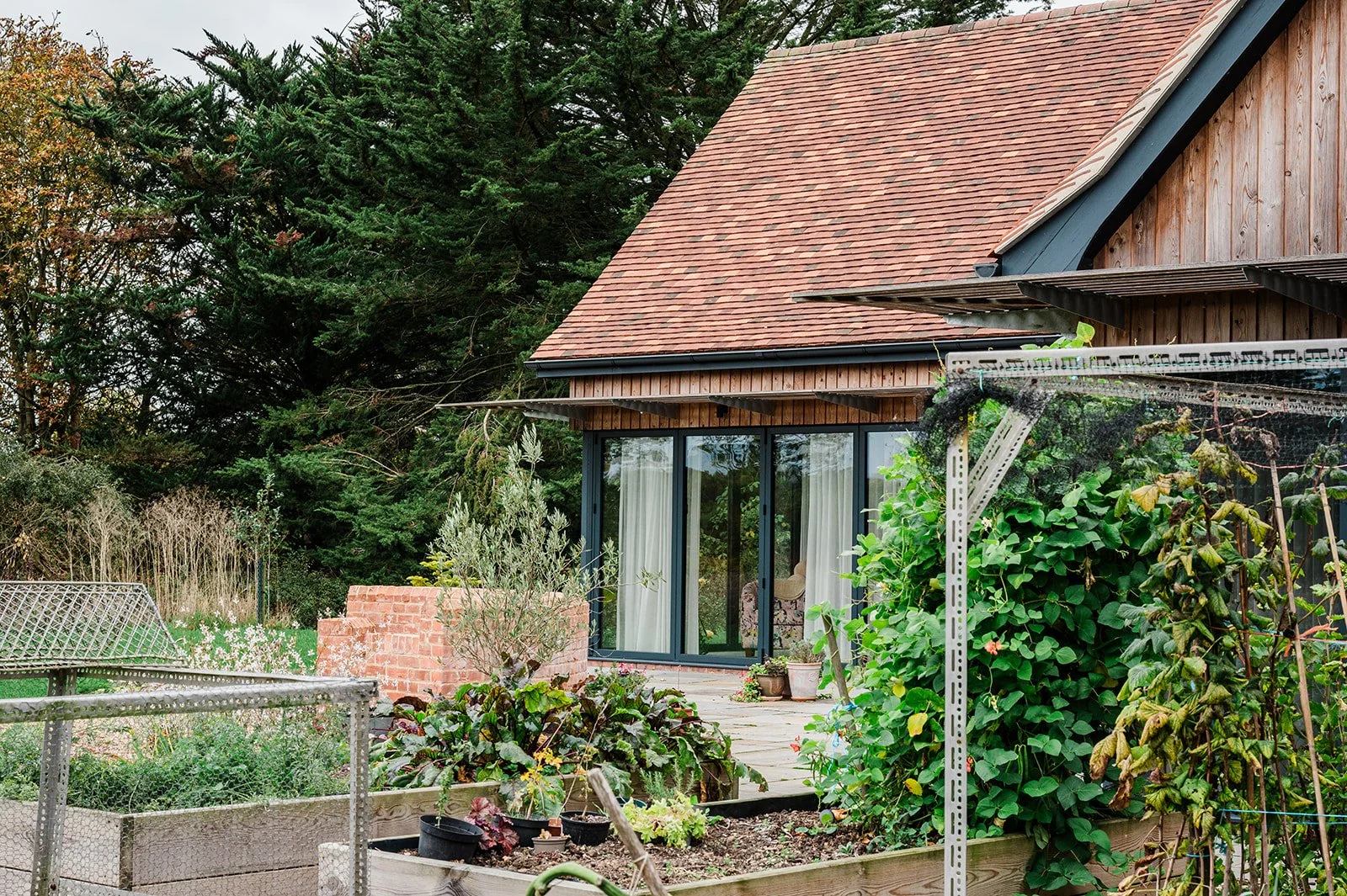 Contemporary Eco-House garden