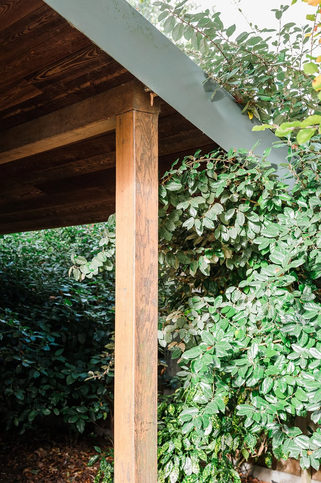 Sustainable Self-Build Annexe timber