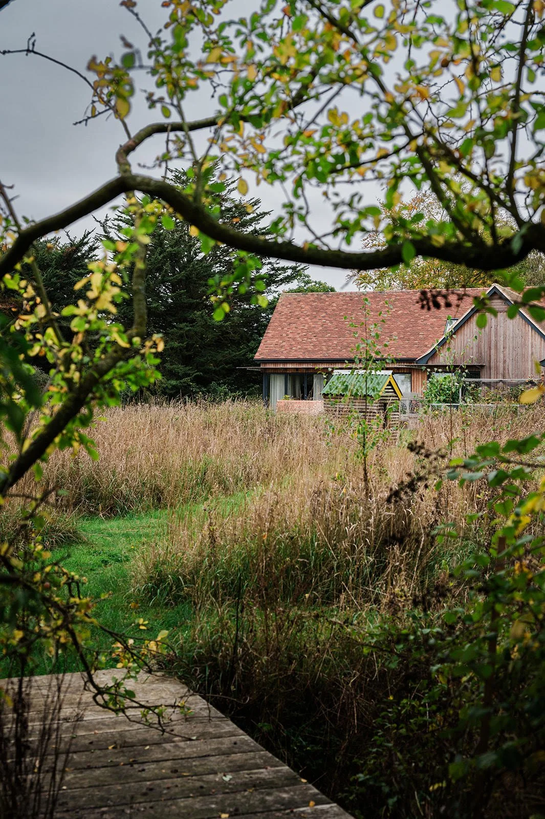 Contemporary Eco-House exterior