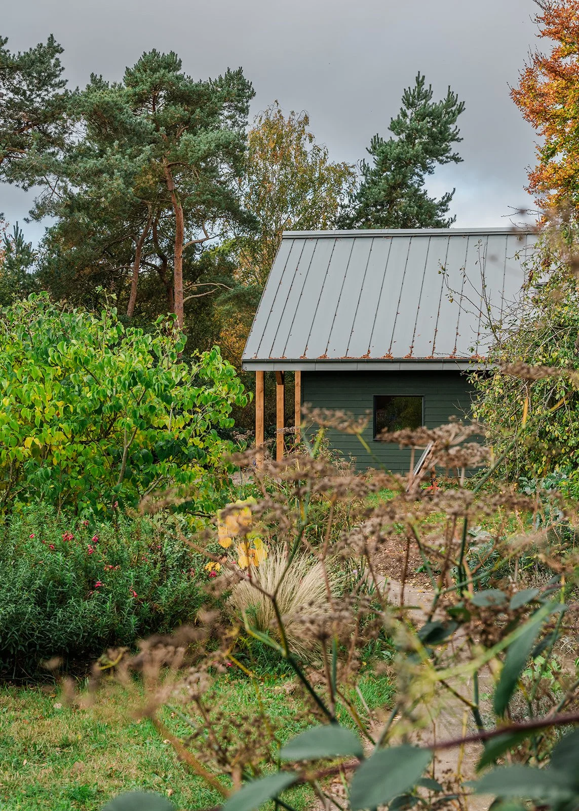 Sustainable Self-Build Annexe garden