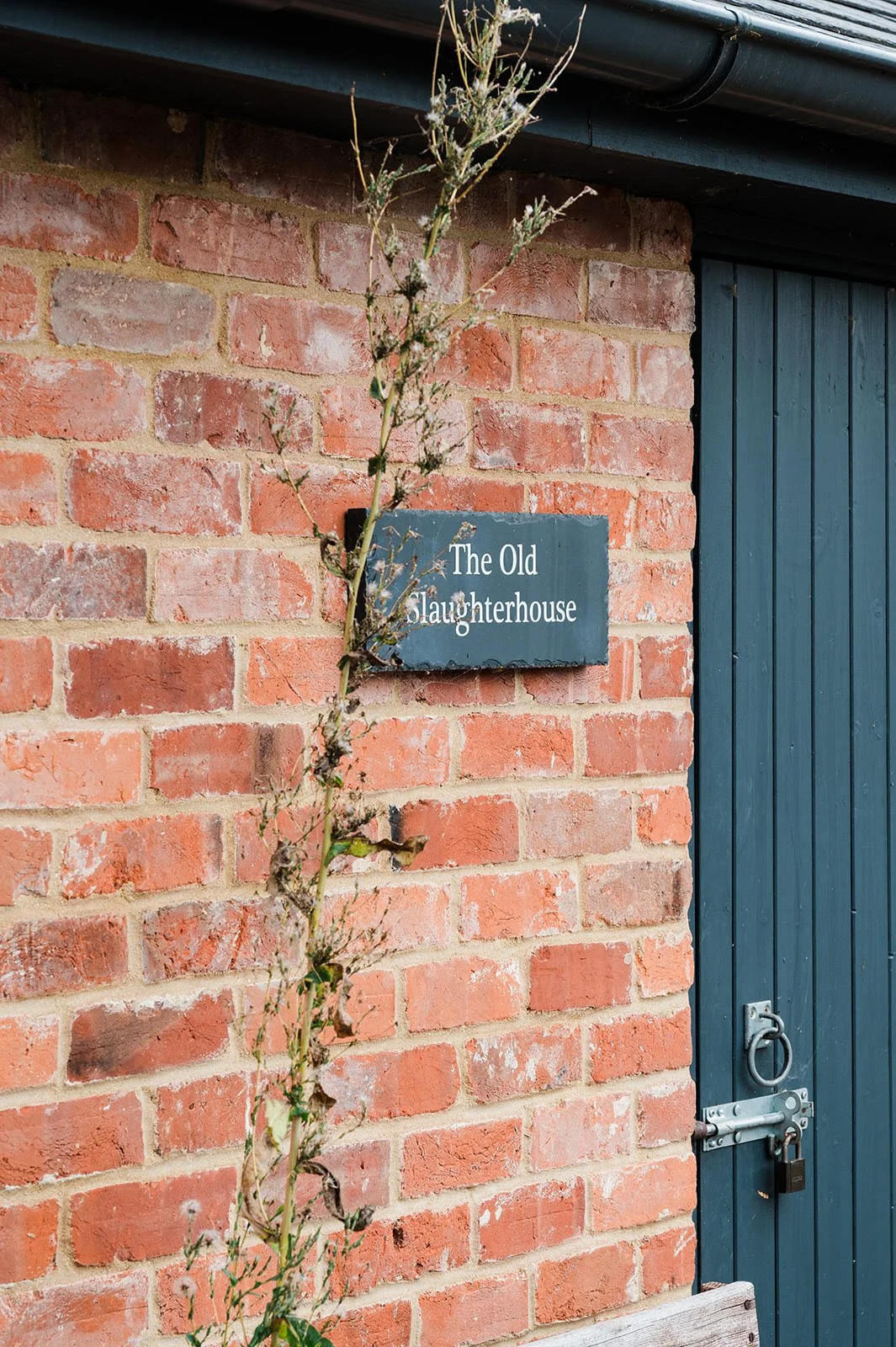Contemporary Eco-House front door