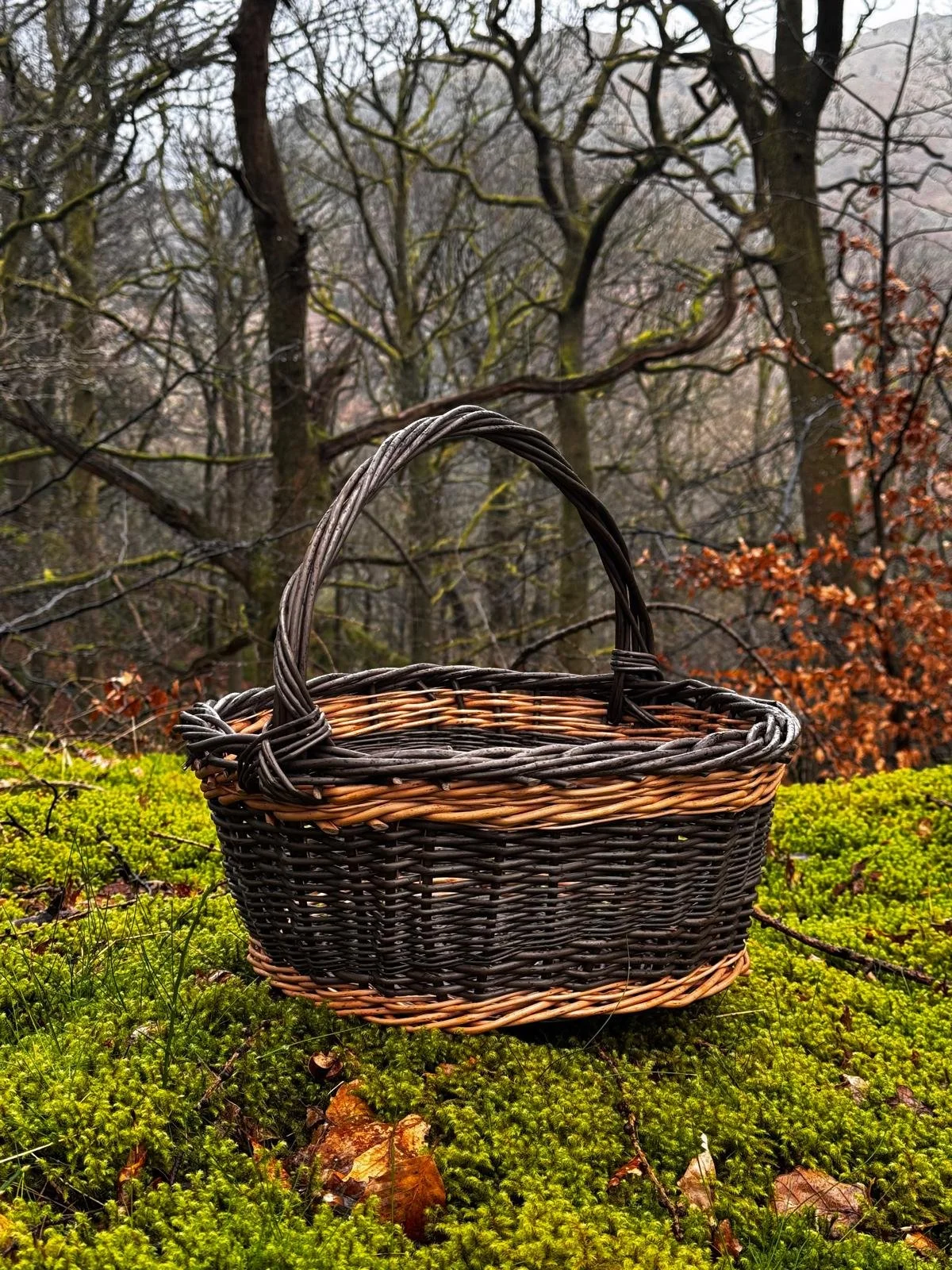 WhatsApp Image 2026-03-23 at 15.57.24.jpeg