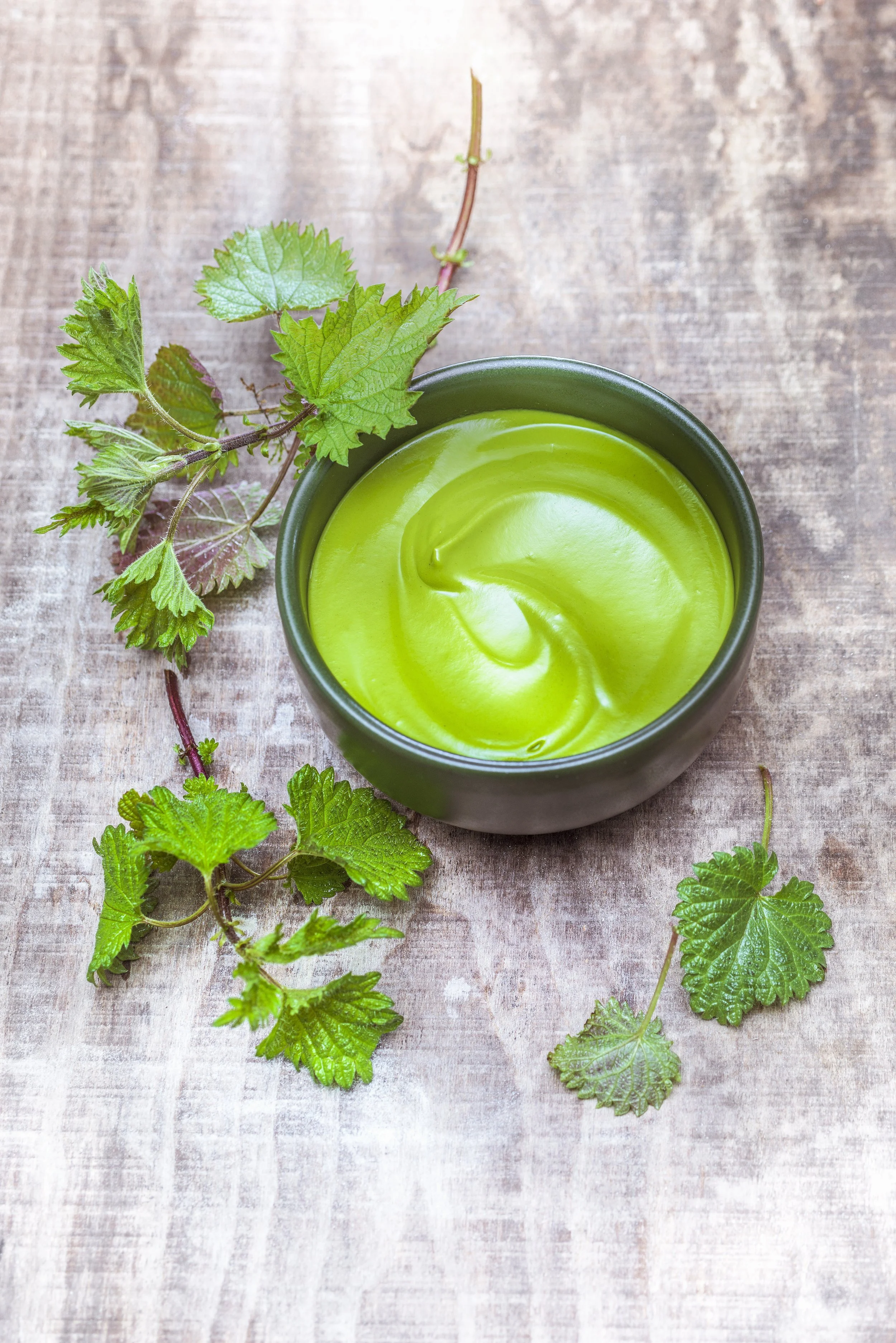 Soupe Orties Dijon Atelier Marielys Lorhios.jpg