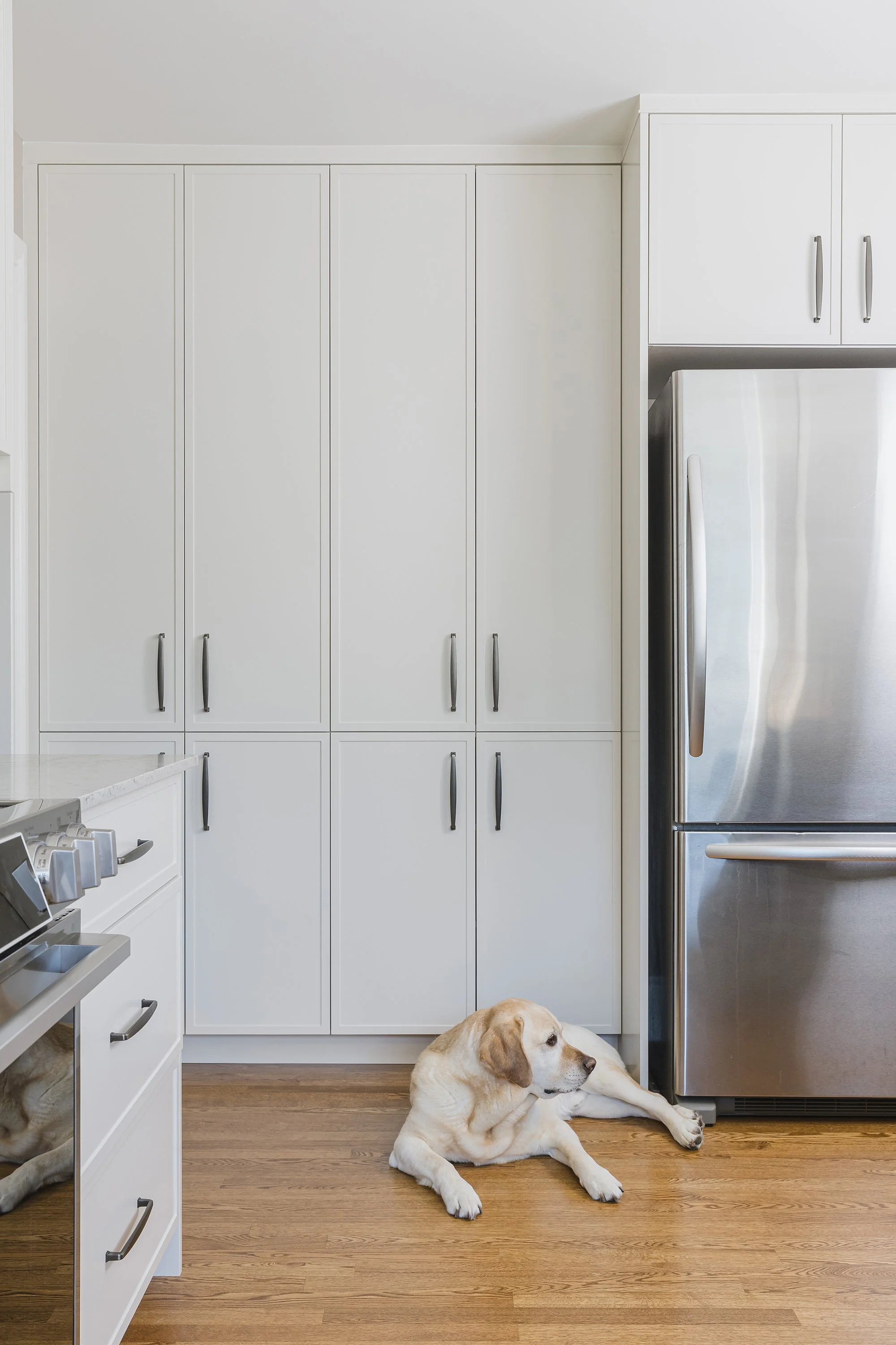 Custom kitchen design for an Ottawa family home featuring plenty of pantry storage.