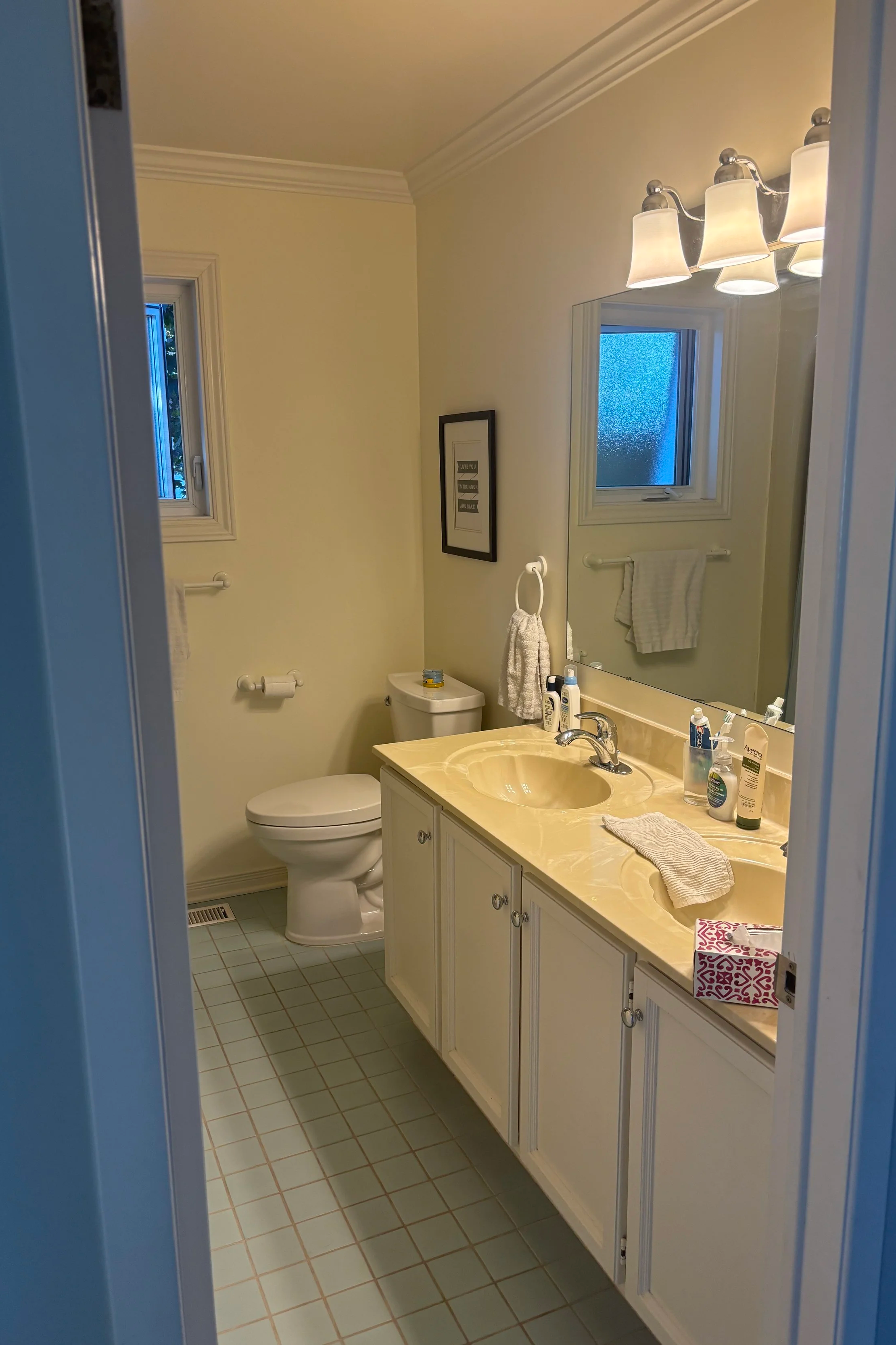 Ottawa interior designer before bathroom photo