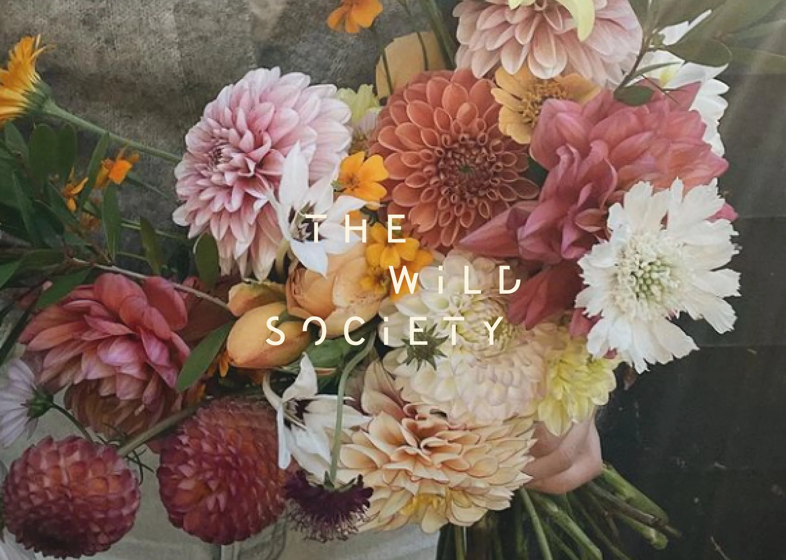 A colorful bouquet of various flowers including dahlias, daisies, and other blooms with the words 'THE WILD SOCIETY' overlayed in white text.