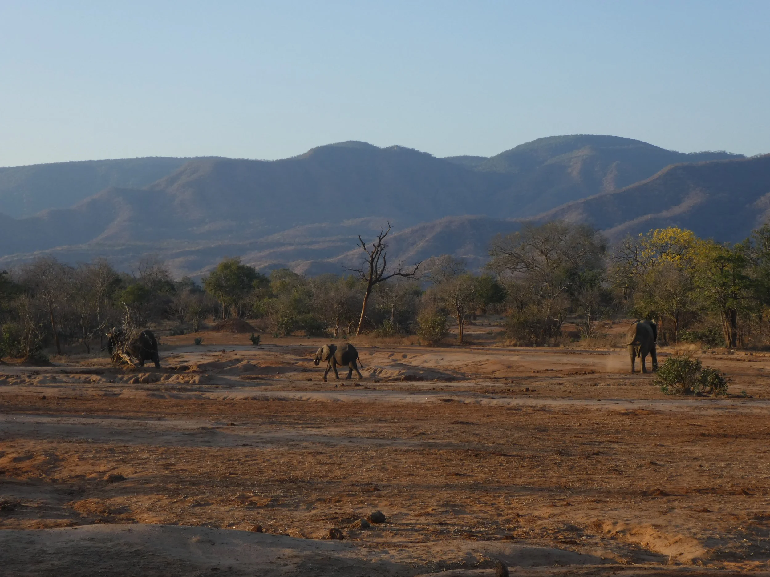 lower zambezi and the southern province