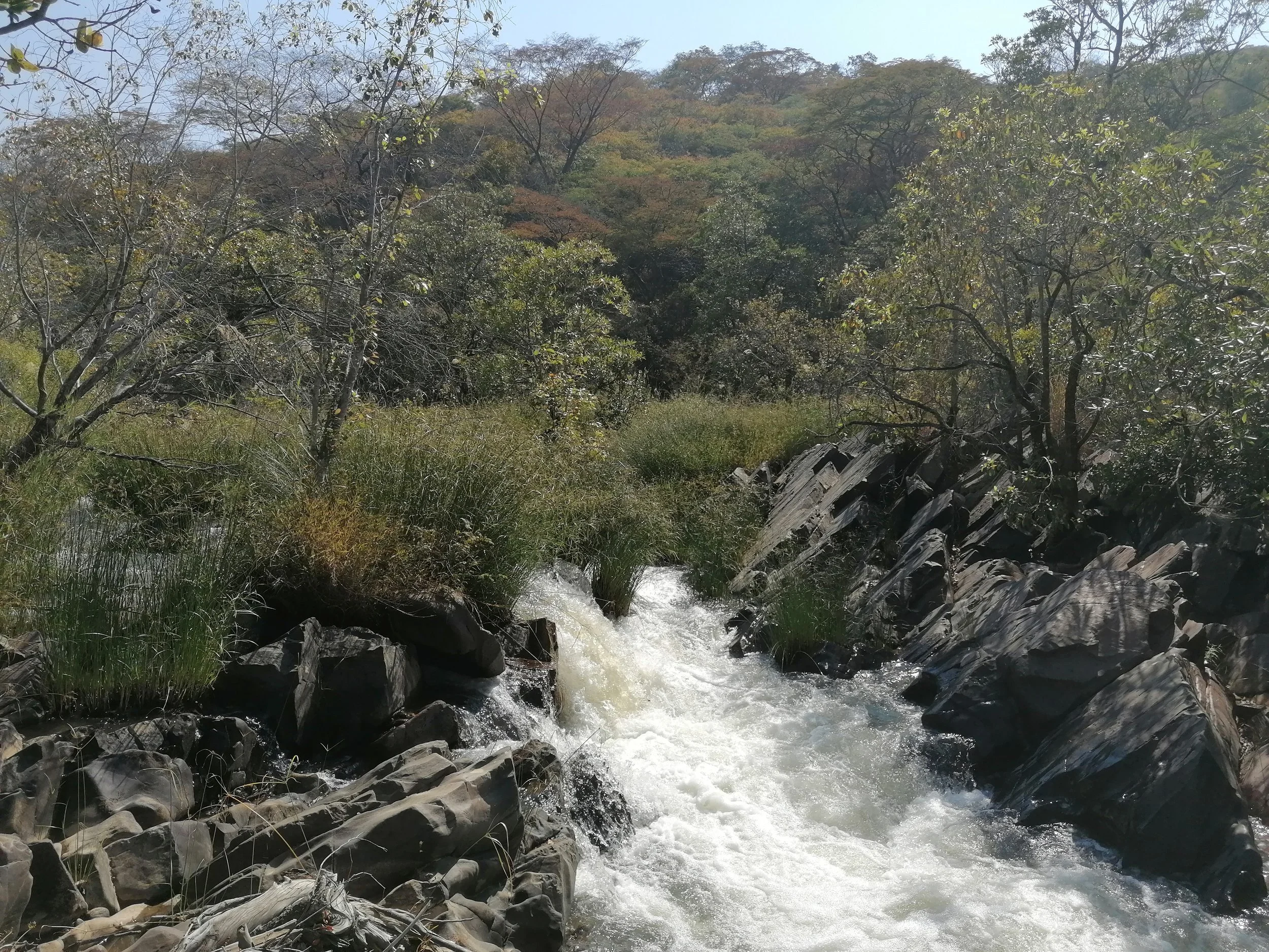 The northern circuit