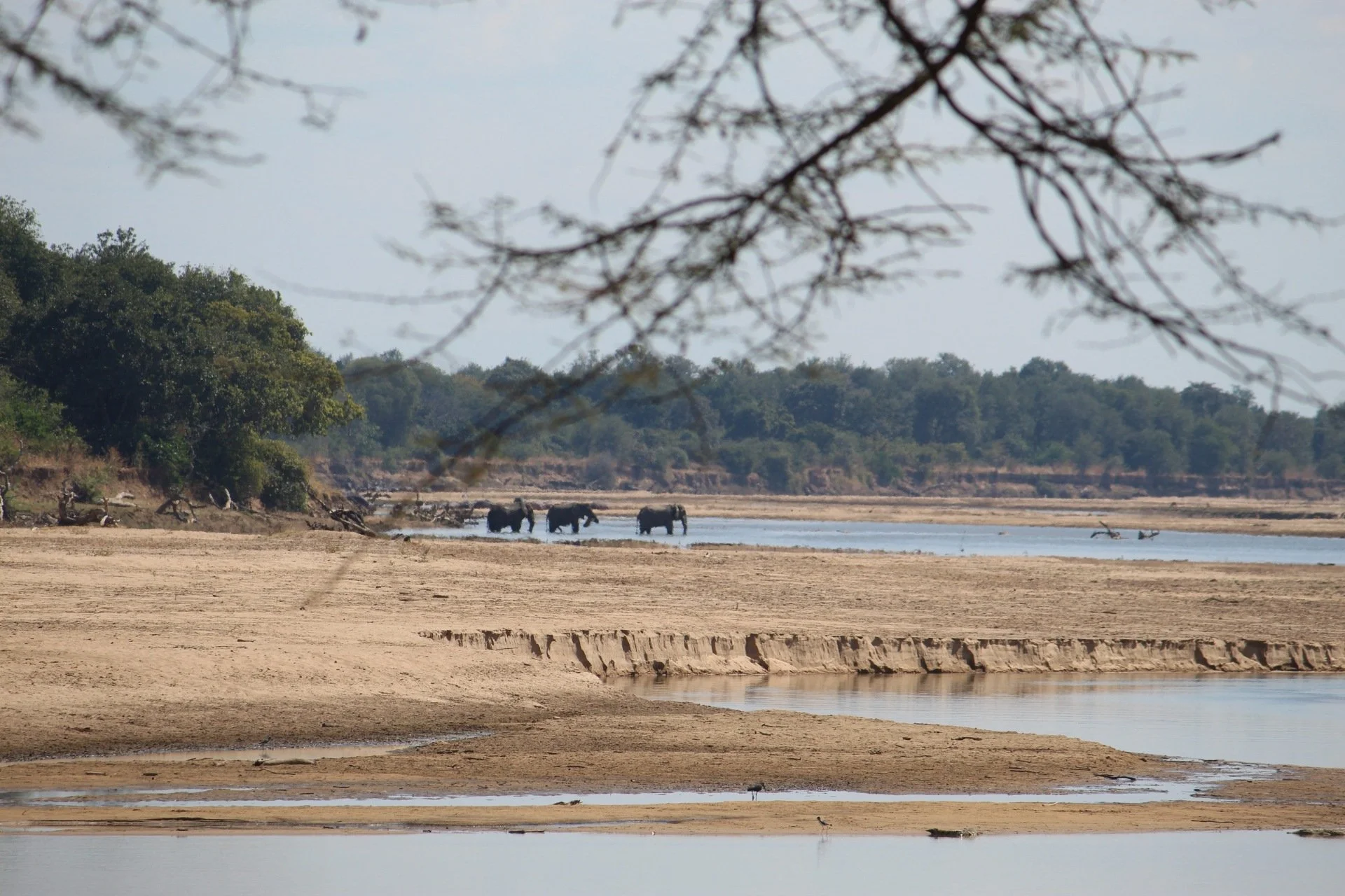 the luangwa valley