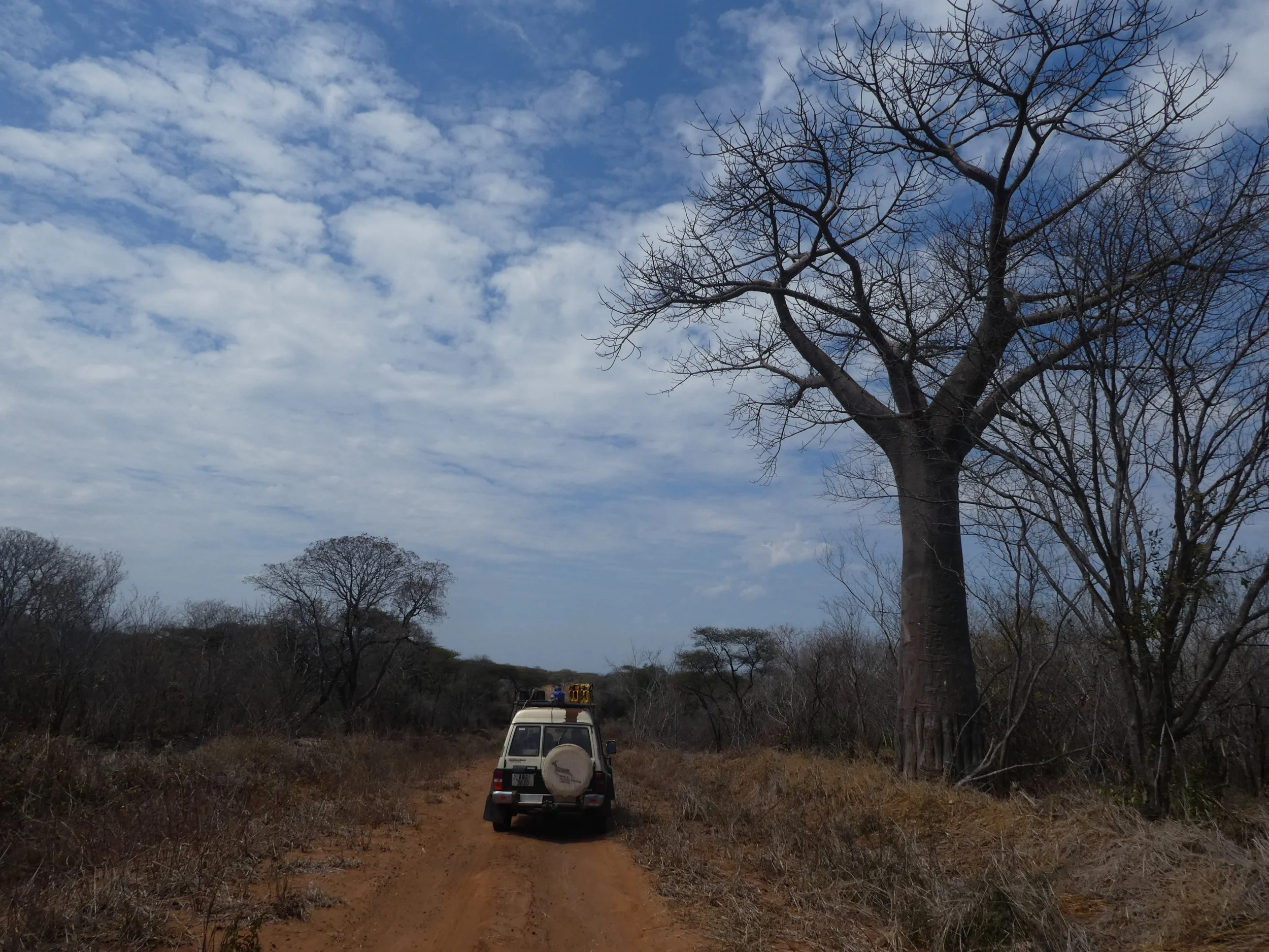 lower zambezi and the southern province