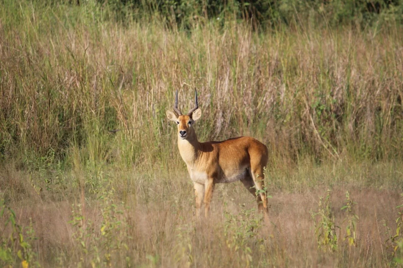 WESTERN PROVINCE AND KAFUE NATIONAL PARK