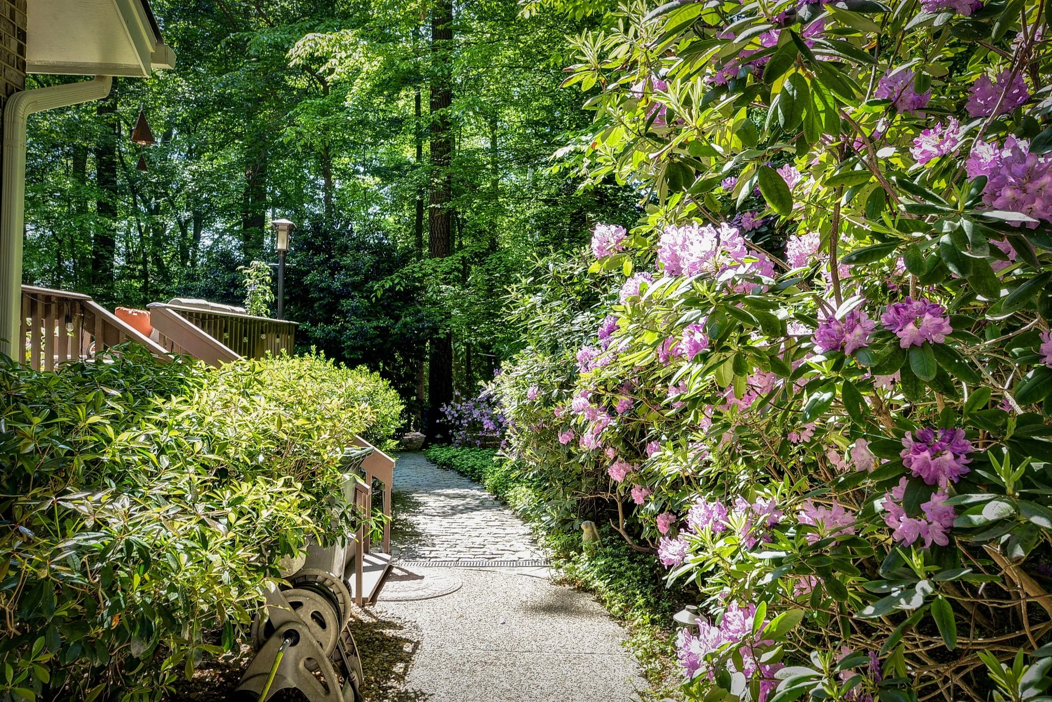 116 Tides Run - Web-45.jpg