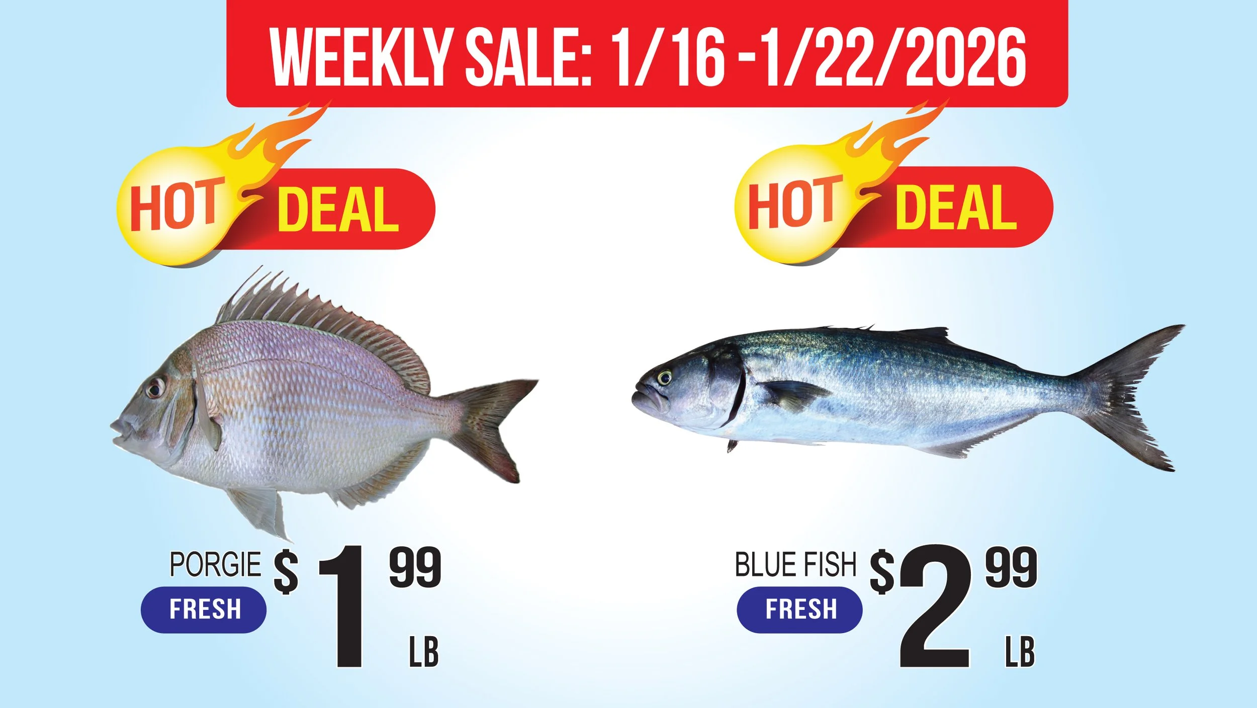 LAM06_Seafood Hot Sale (3).jpg