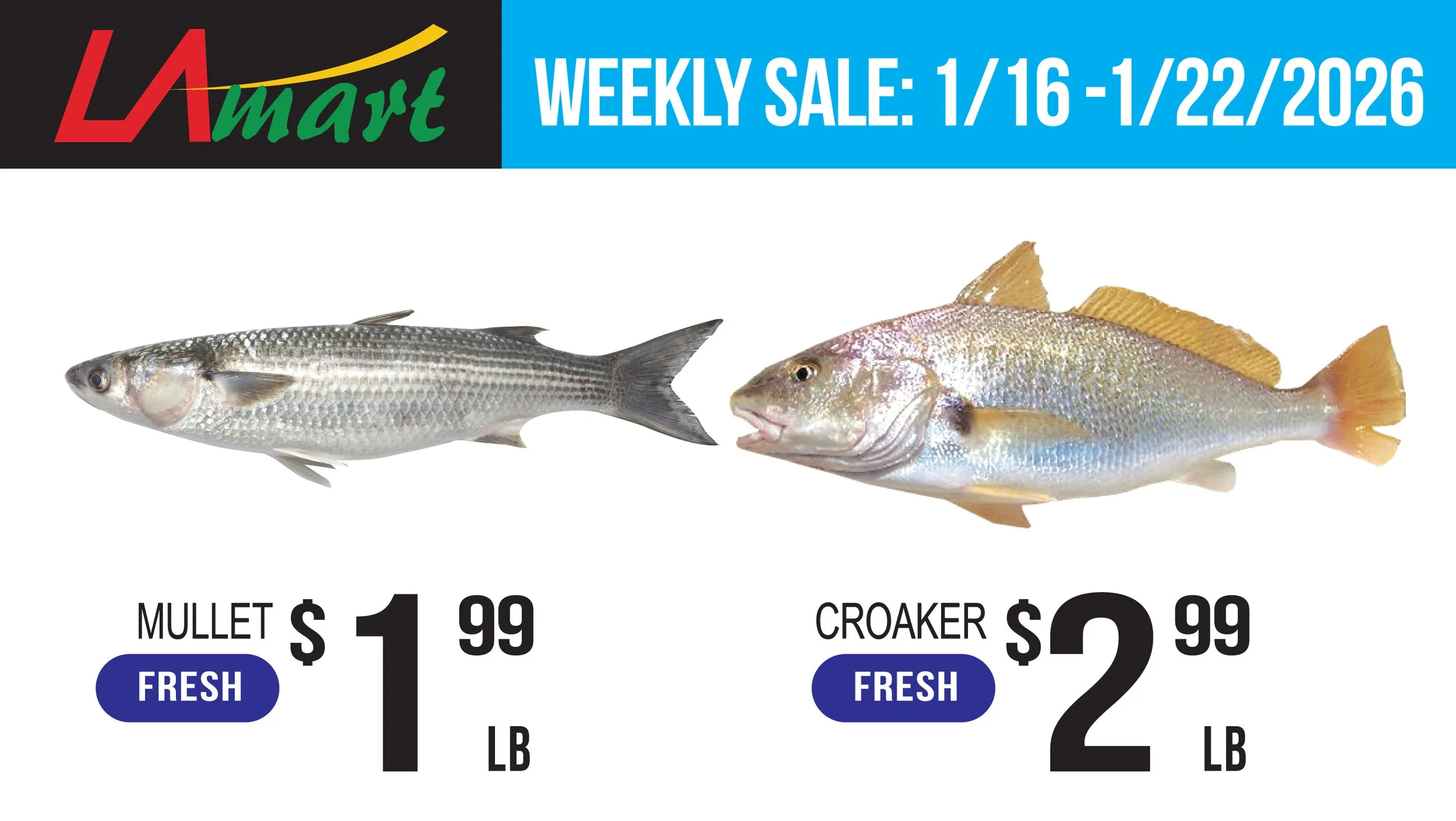 LAM06_Seafood 2 (3).jpg