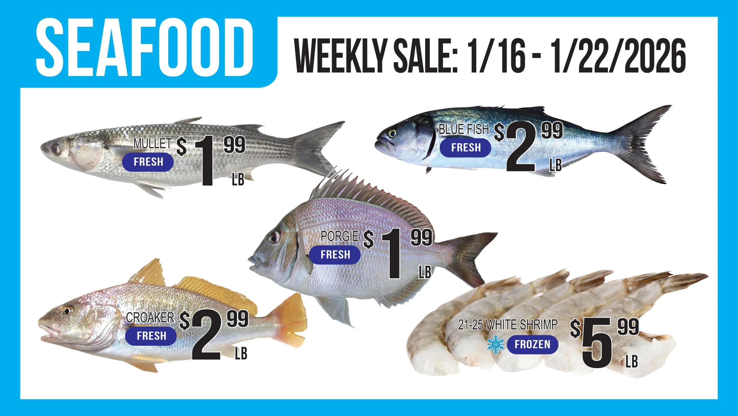 LAM06_Seafood (4).jpg