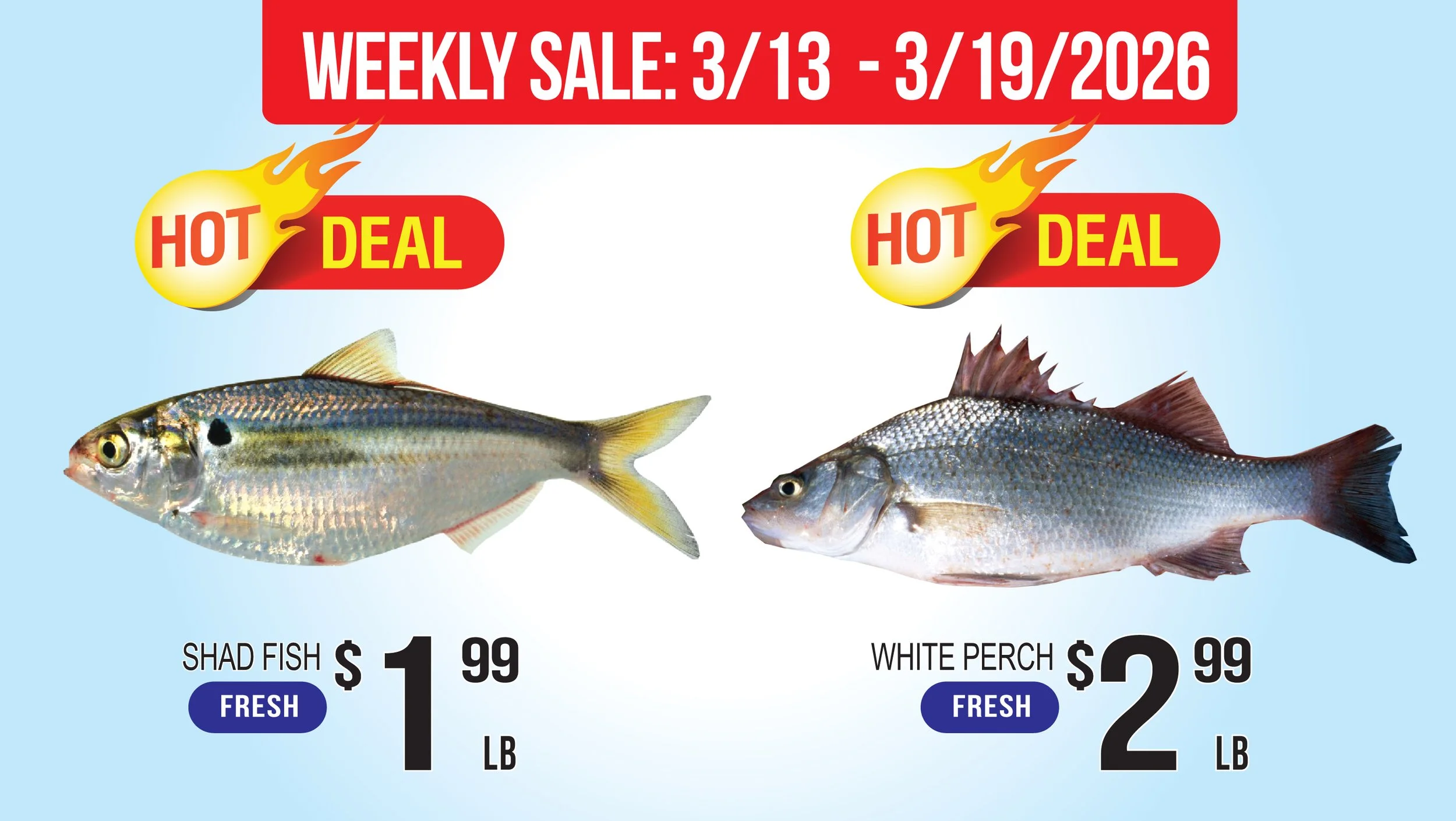 LAM06_Seafood Hot Sale (5).jpg