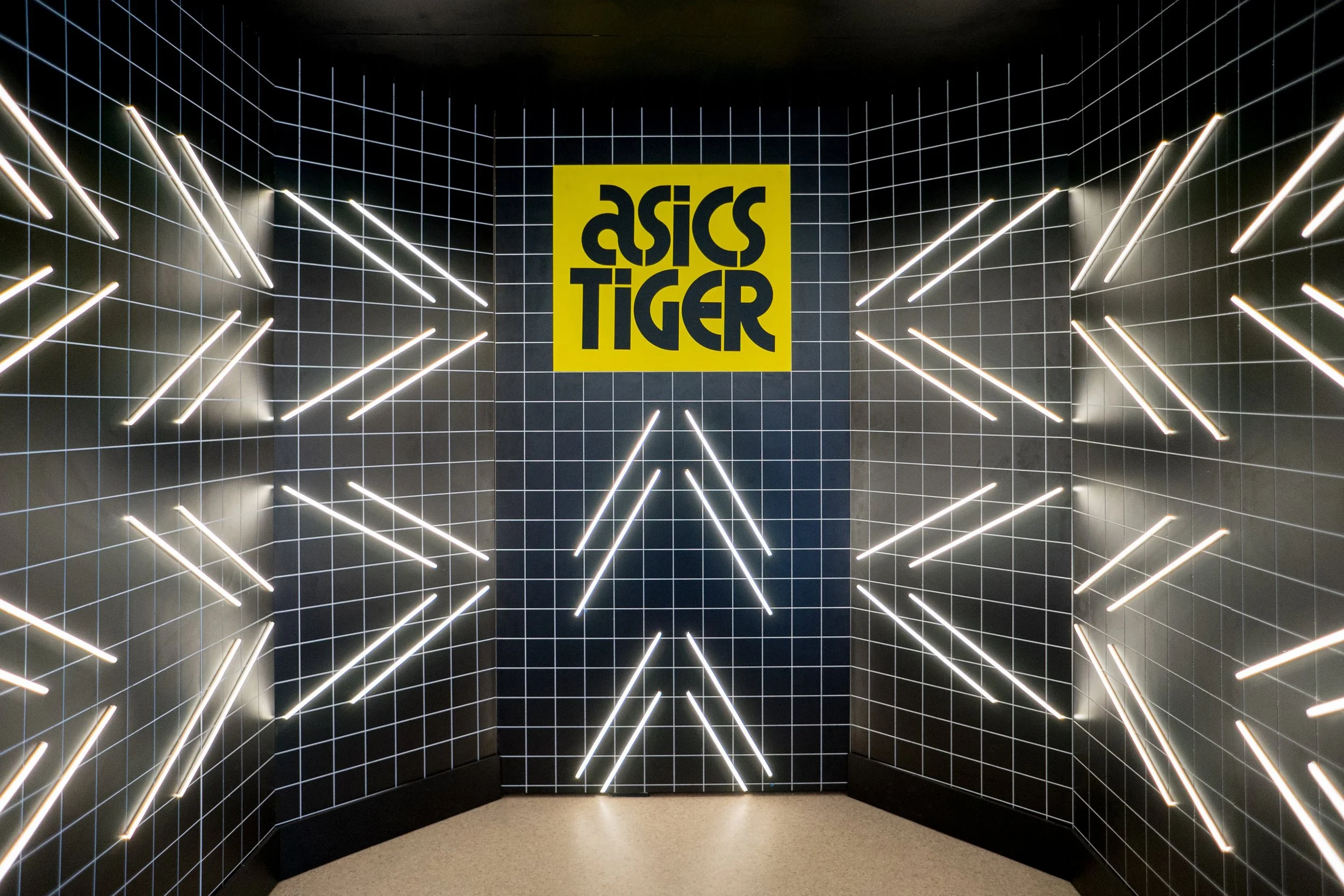 asicstiger1.jpg
