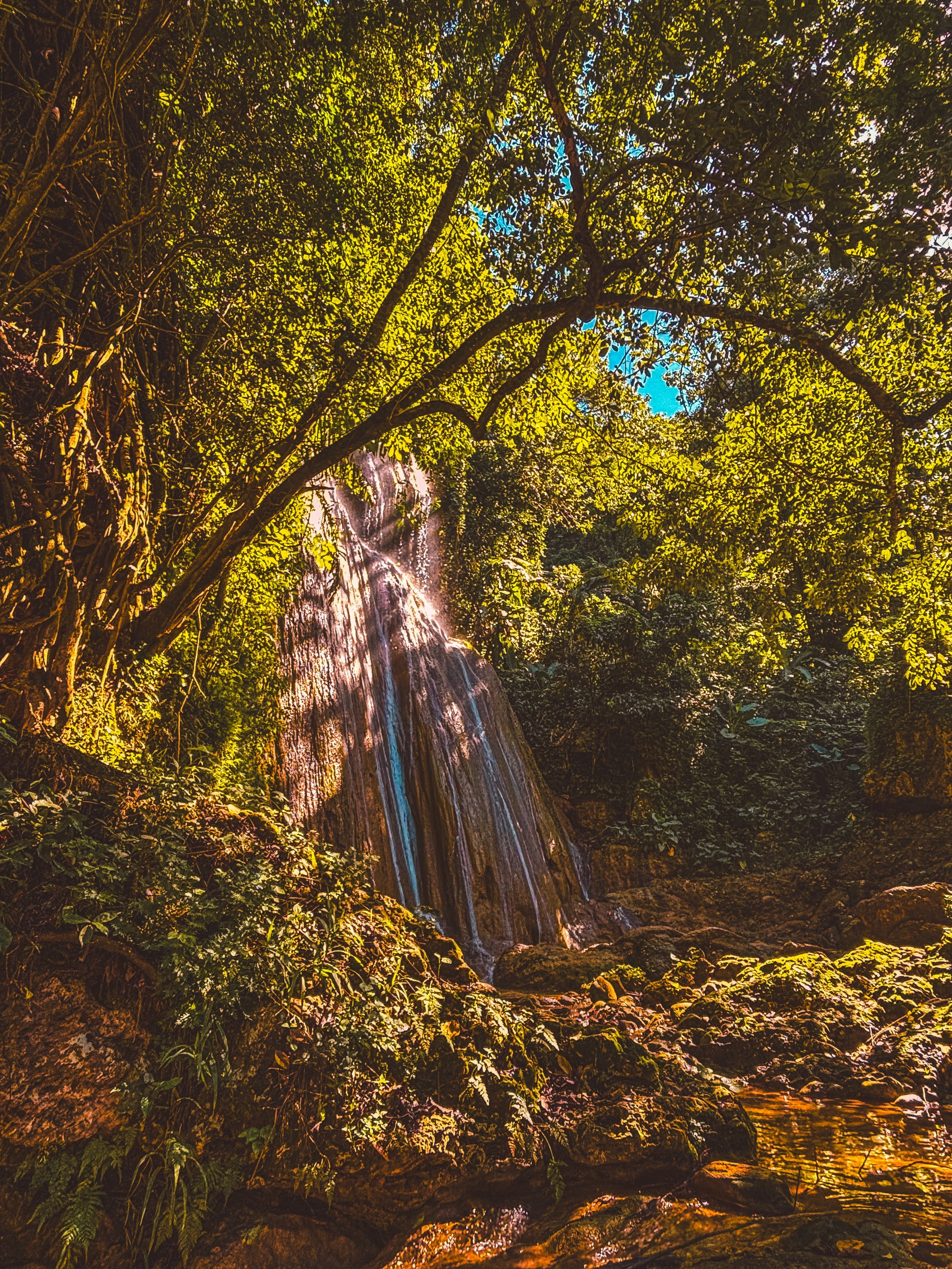 A waterfall flowing over rocks in a dense, green forest with sunlight filtering through the trees.