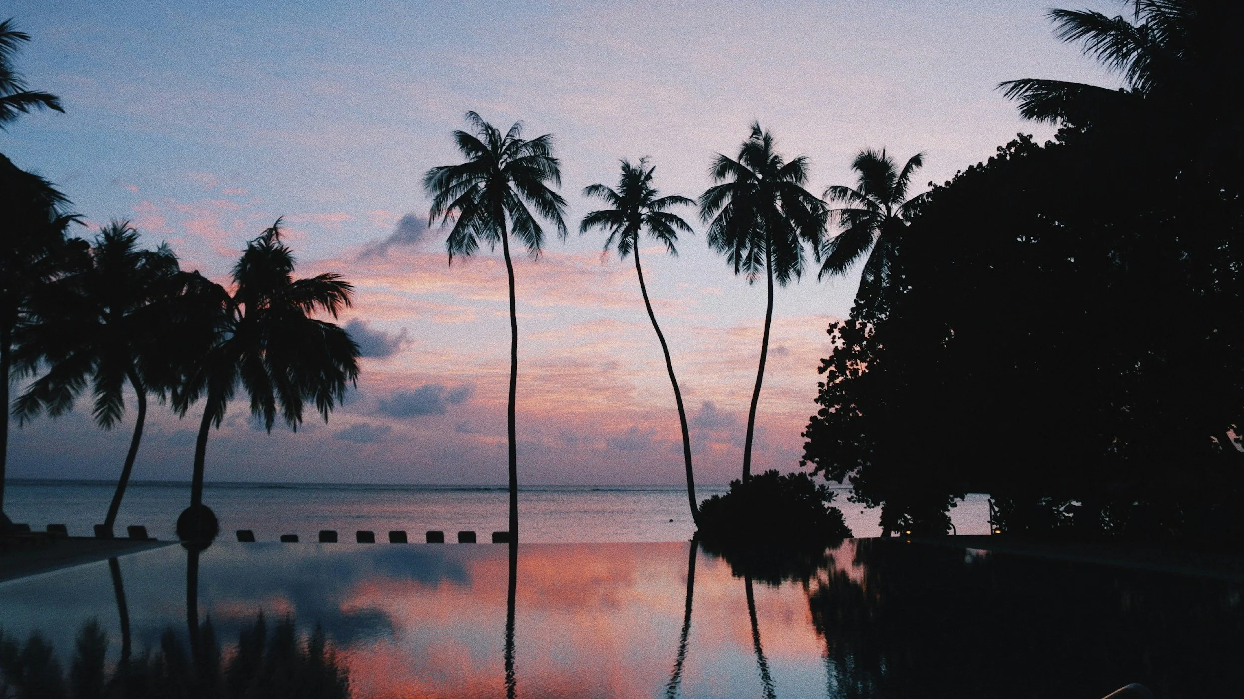Sunset over a beach with pink and purple sky, silhouetted palm trees, and calm water reflecting the sky.