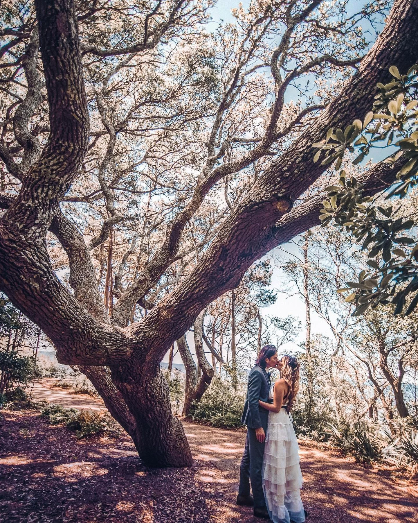 A couple in wedding attire sharing a kiss under a large, leaning tree in a wooded area.