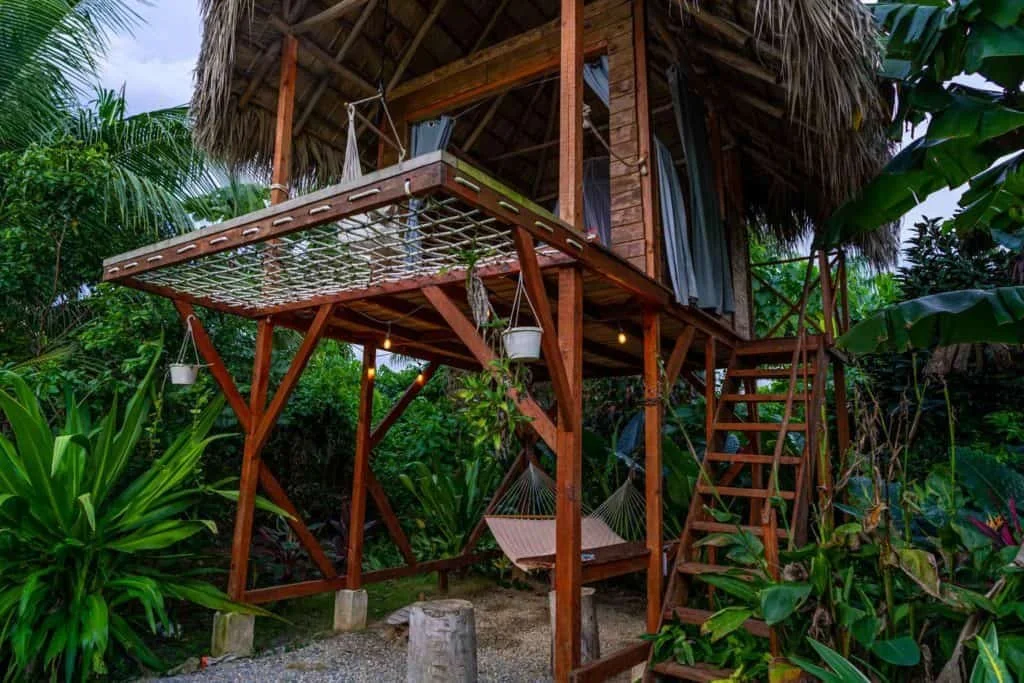 Wooden treehouse with a thatched roof, balcony, and staircase surrounded by lush tropical greenery.