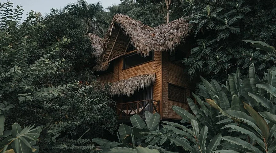 A bamboo hut with thatched roof nestled in lush green tropical foliage.