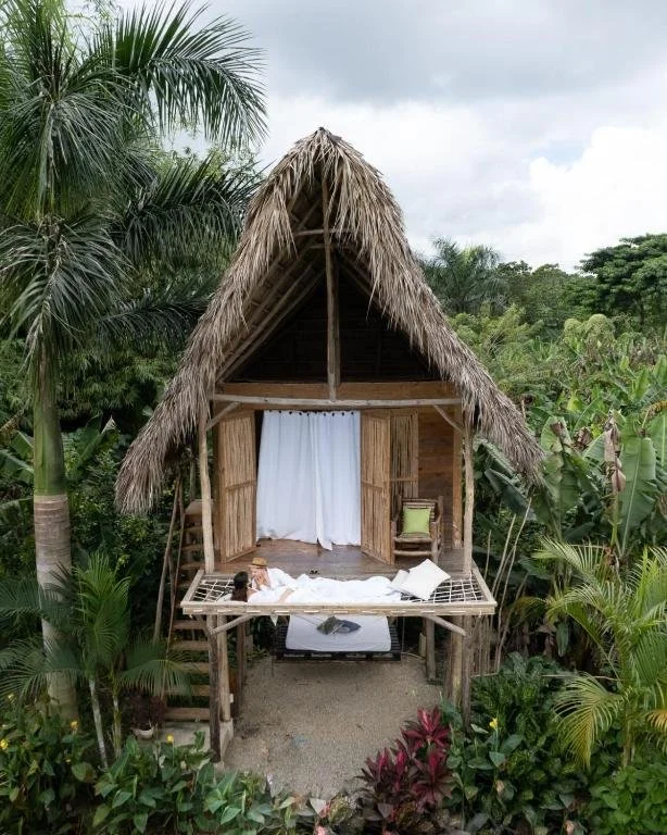 A small wooden and thatch-roof hut built on stilts surrounded by lush tropical greenery, with a bed on the deck and a person lying in it, reading a book.