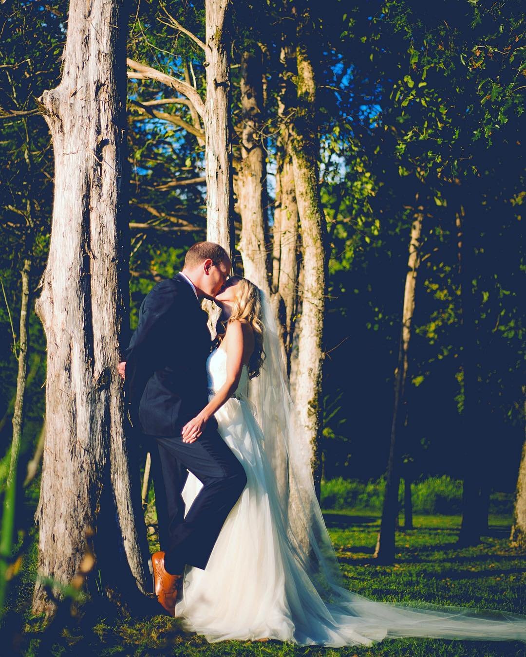 A bride and groom sharing a kiss outdoors near a large tree, with the bride in a white wedding dress and veil, and the groom in a black suit, during sunset in a lush green park.