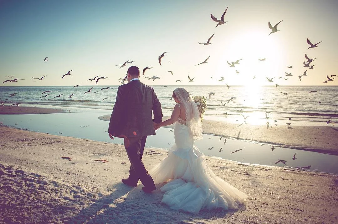 A bride and groom walking hand in hand on a beach at sunset, with seagulls flying overhead and the ocean in the background.