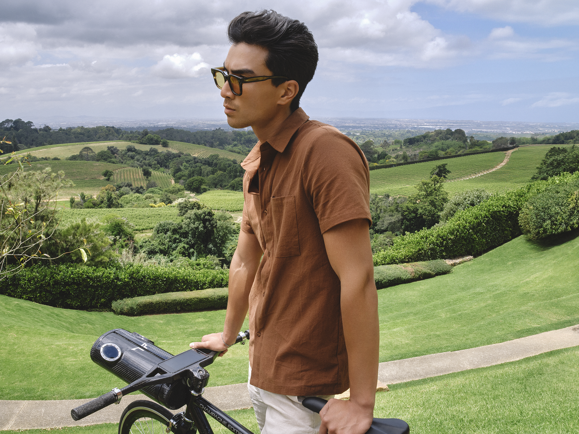 Vineyard Image 3.png
