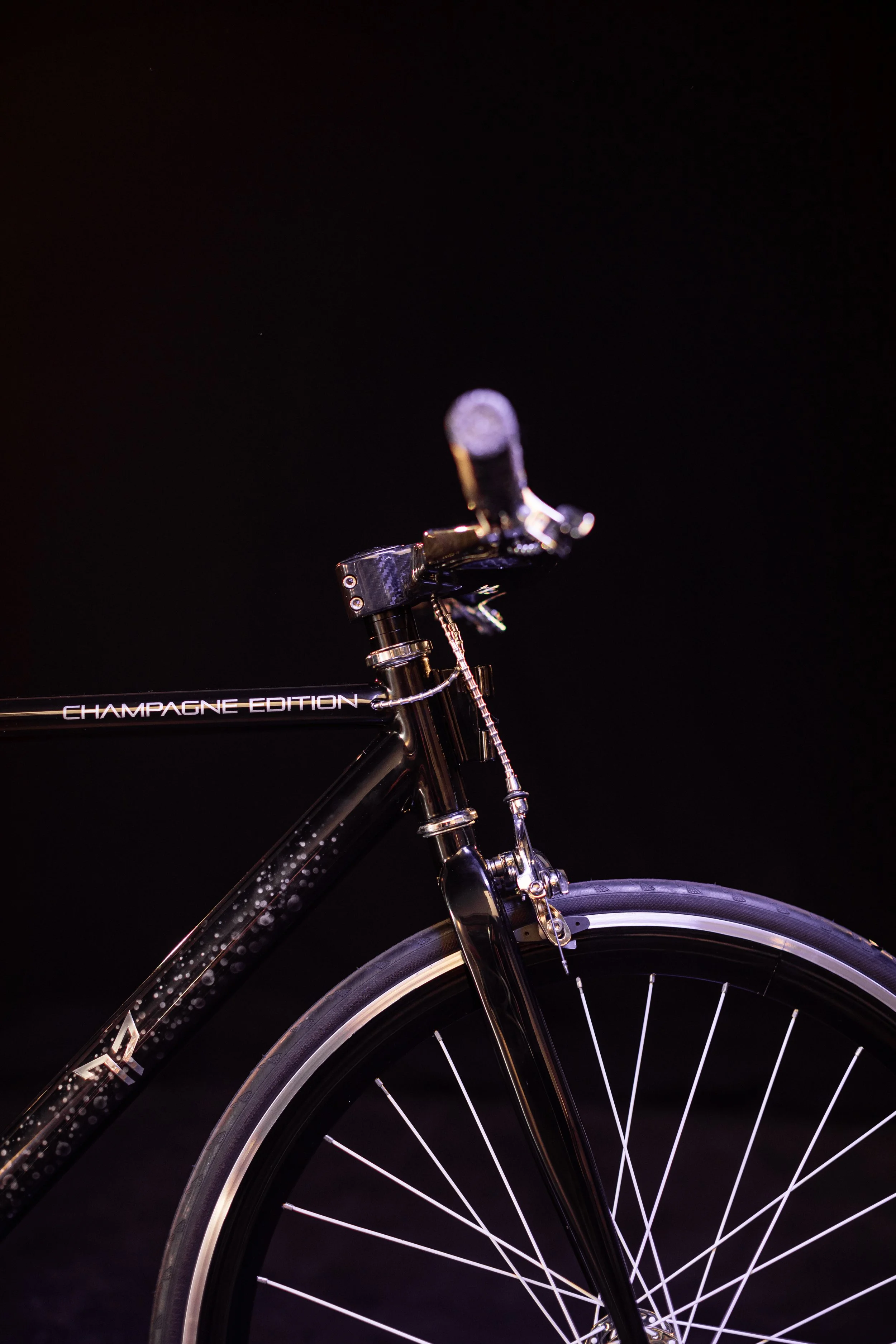 _MG_3630.jpg