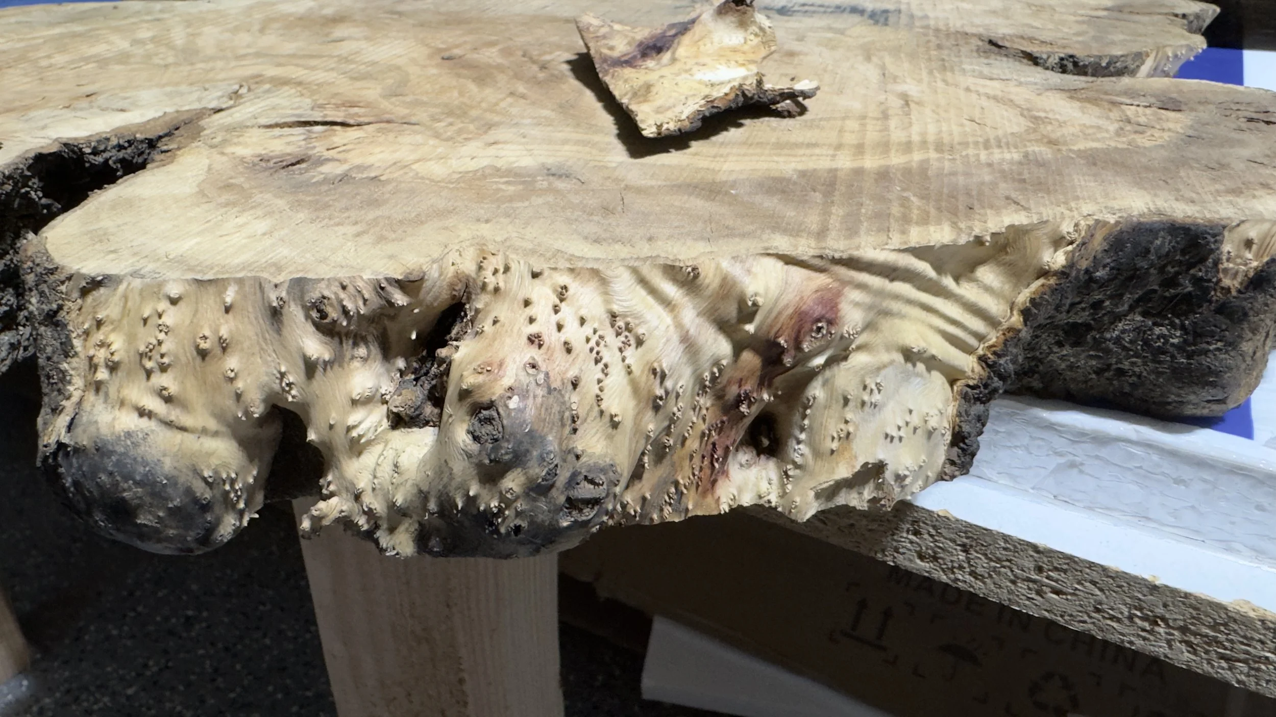 Olive Wood Burl Cookie Side Table