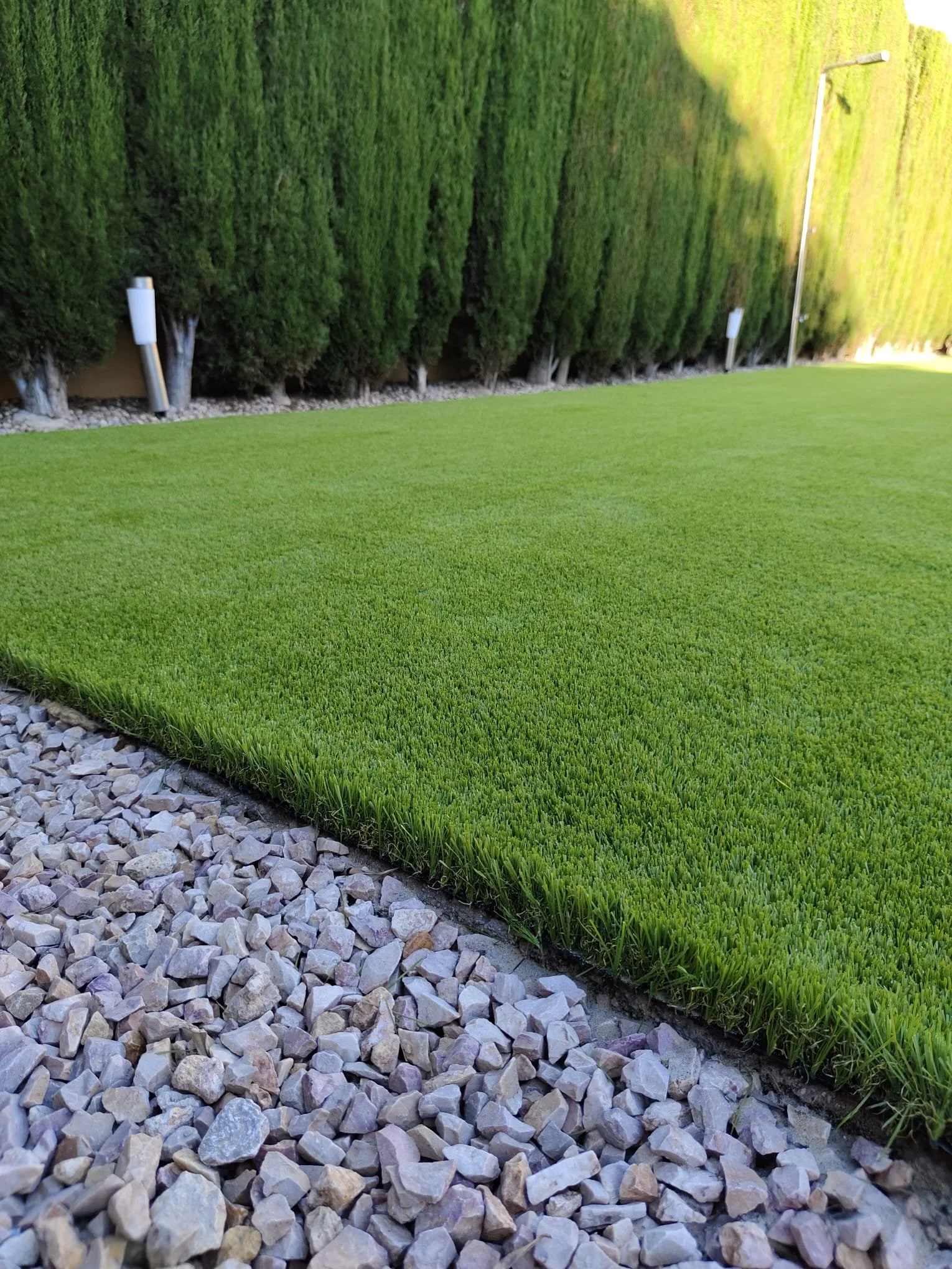 WhatsApp Image 2025-03-03 at 14.40.34.jpeg