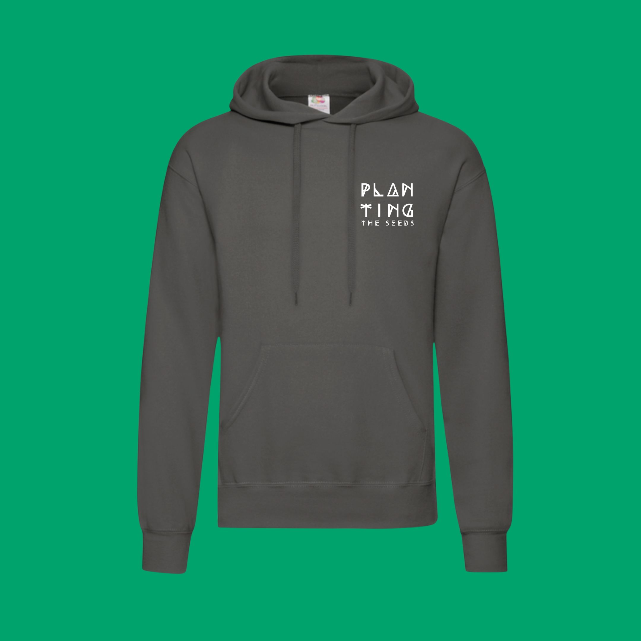 PTS Logo Adult Hoodie F Grey.png