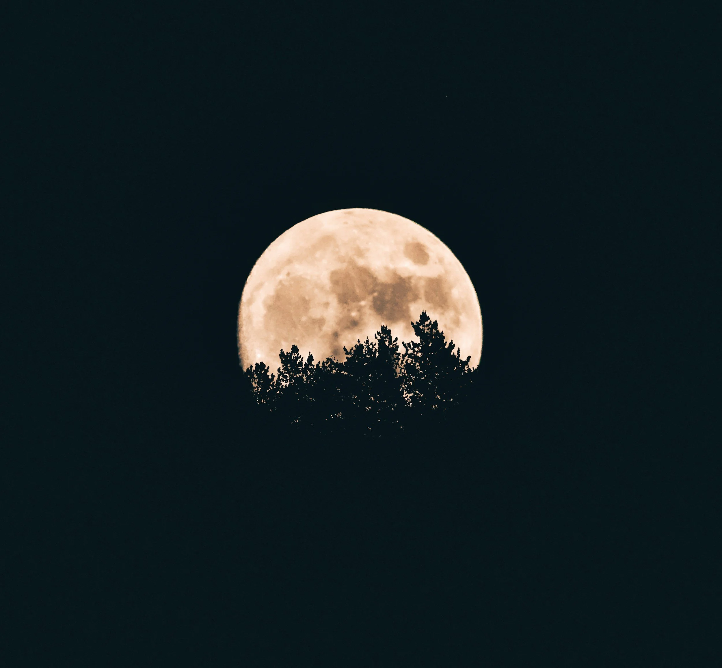 Full moon rising over a silhouette of trees at night.