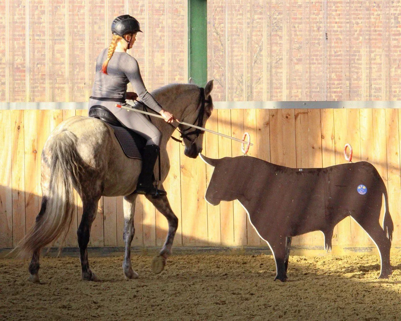 Eine Reiterin auf einem Pferd beim Working Equitation Training in einer Reithalle, mit einer schwarzen Tierattrappe aus Holz in Form eines Stiers.