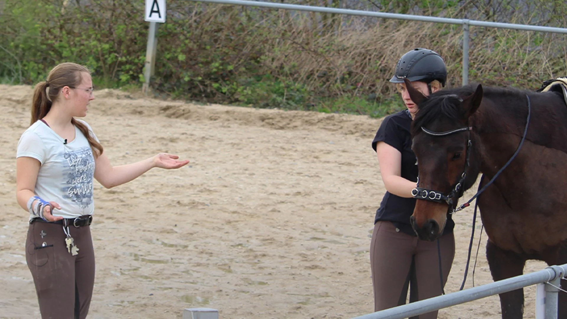 Zwei Frauen im Reitgelände, eine mit einem schwarzen Helm auf dem Pferd, die andere spricht und gestikuliert. Das Pferd ist braun.