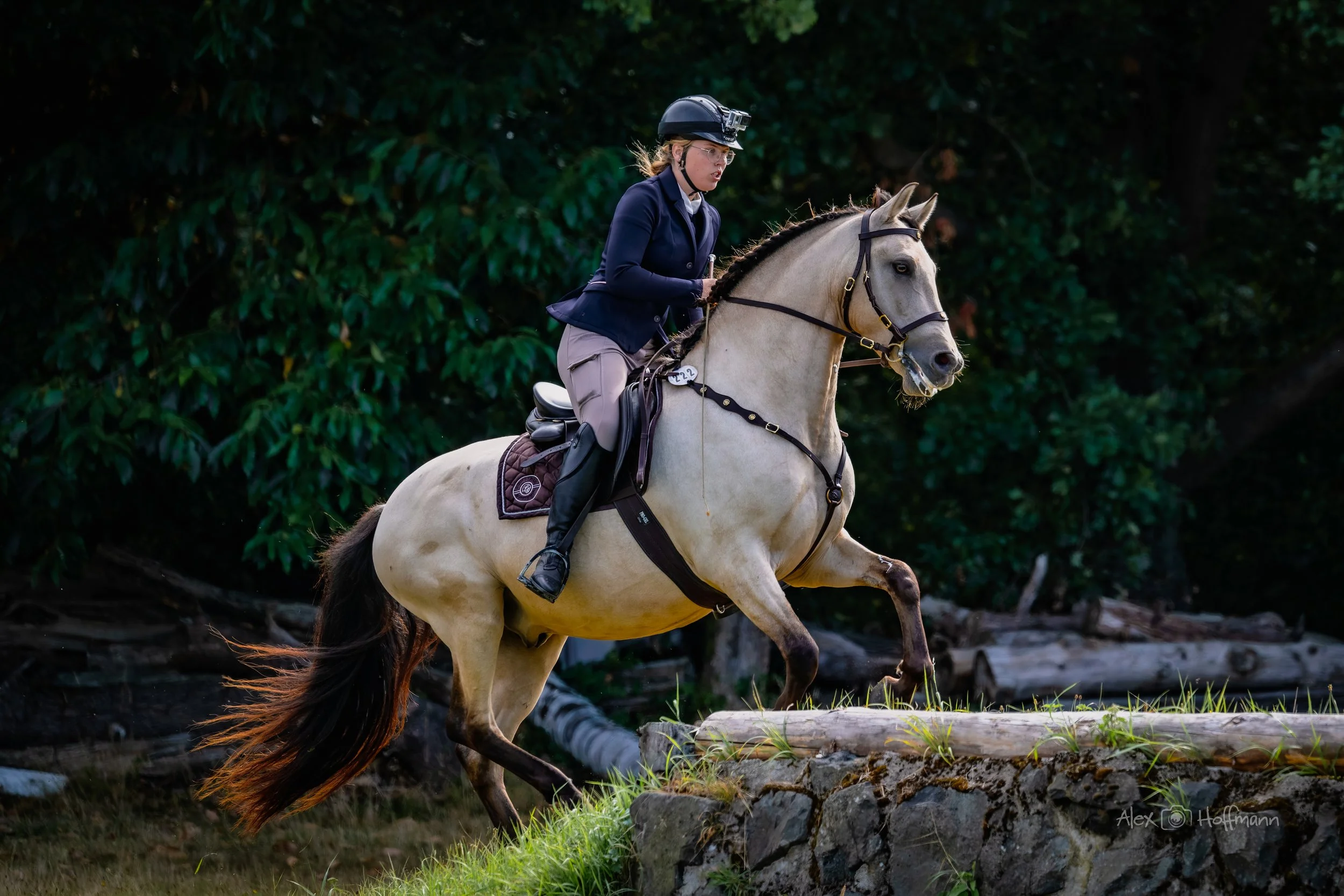 Reiterin in formeller Kleidung mit Helm auf einem beige braunen Pferd beim Springreiten im Wald.