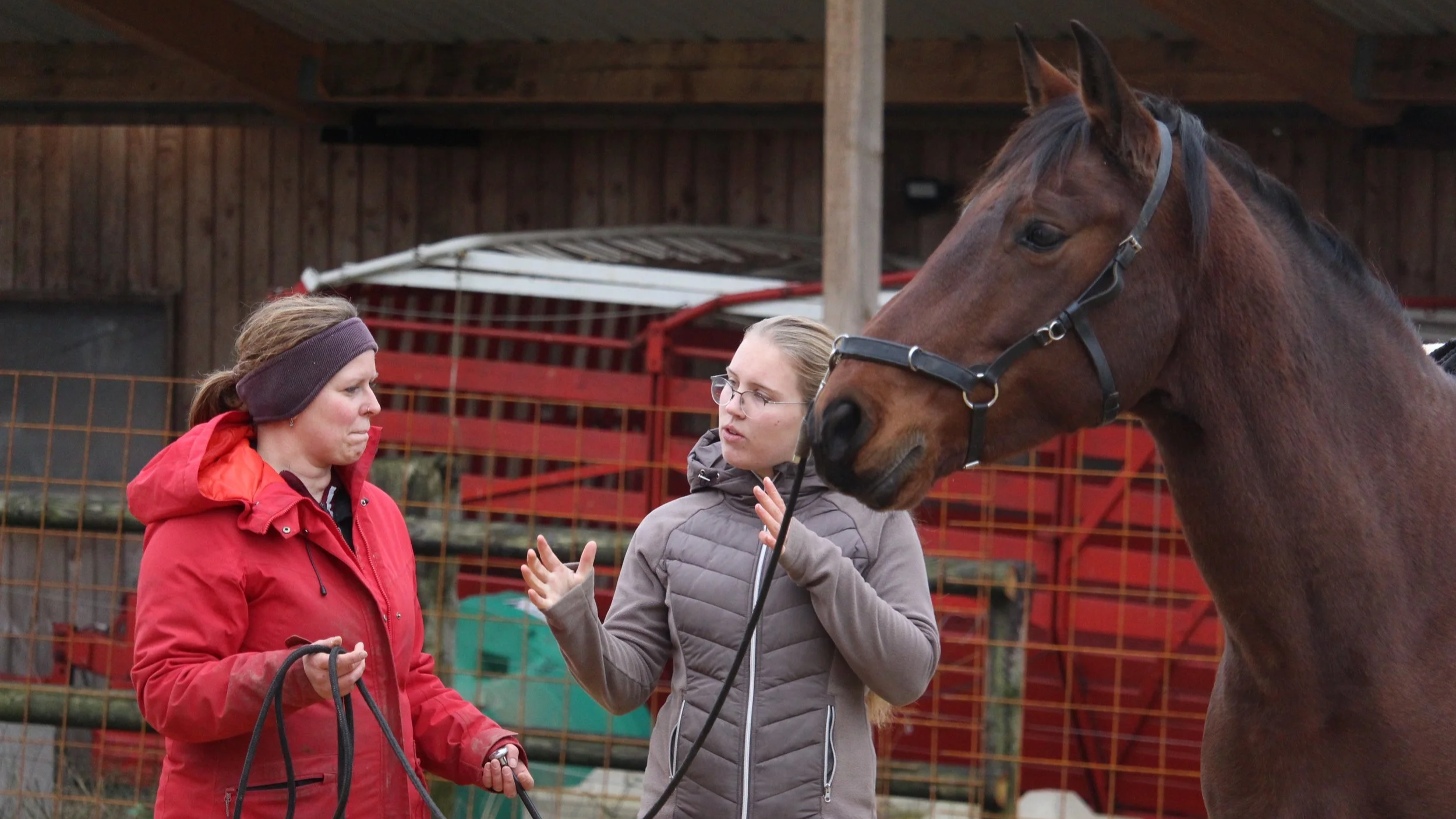 Eine Frau erklärt und gestikuliert, während eine andere Frau und ihr braunes Pferd zuhören.