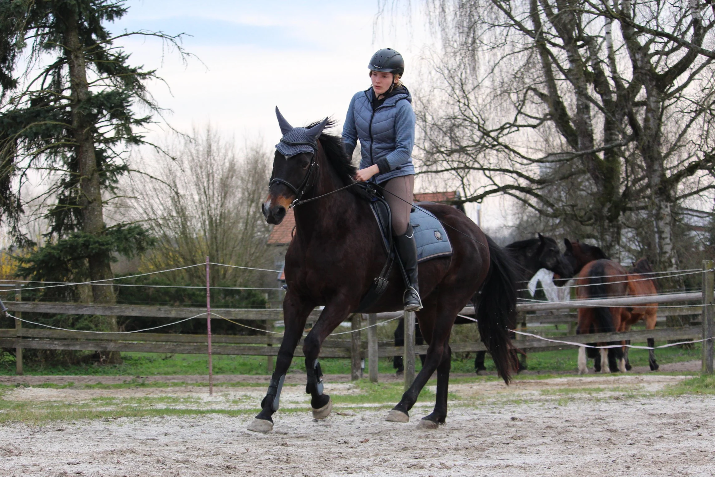 Junge Frau reitet auf einem schwarzen Pferd in einem Reitplatz, umgeben von eine Zaun und Bäumen.