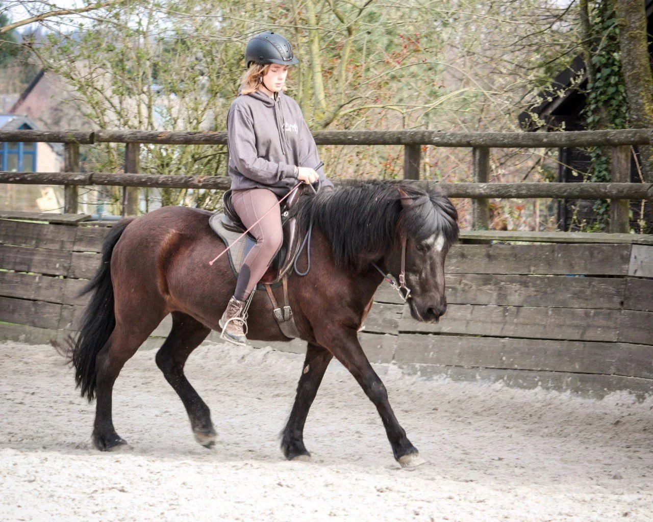 Ein Mädchen reitet auf einem braunen Pony in einem Reitstall. Das Mädchen trägt einen Helm und eine graue Jacke.
