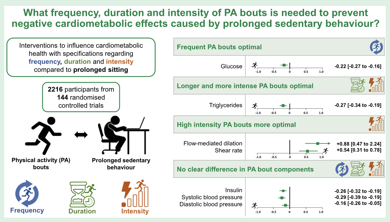 physical activity bouts to interrupt sedentary behaviour illustration